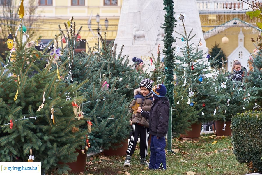 Ovisok díszítették a kis karácsonyfákat 2021