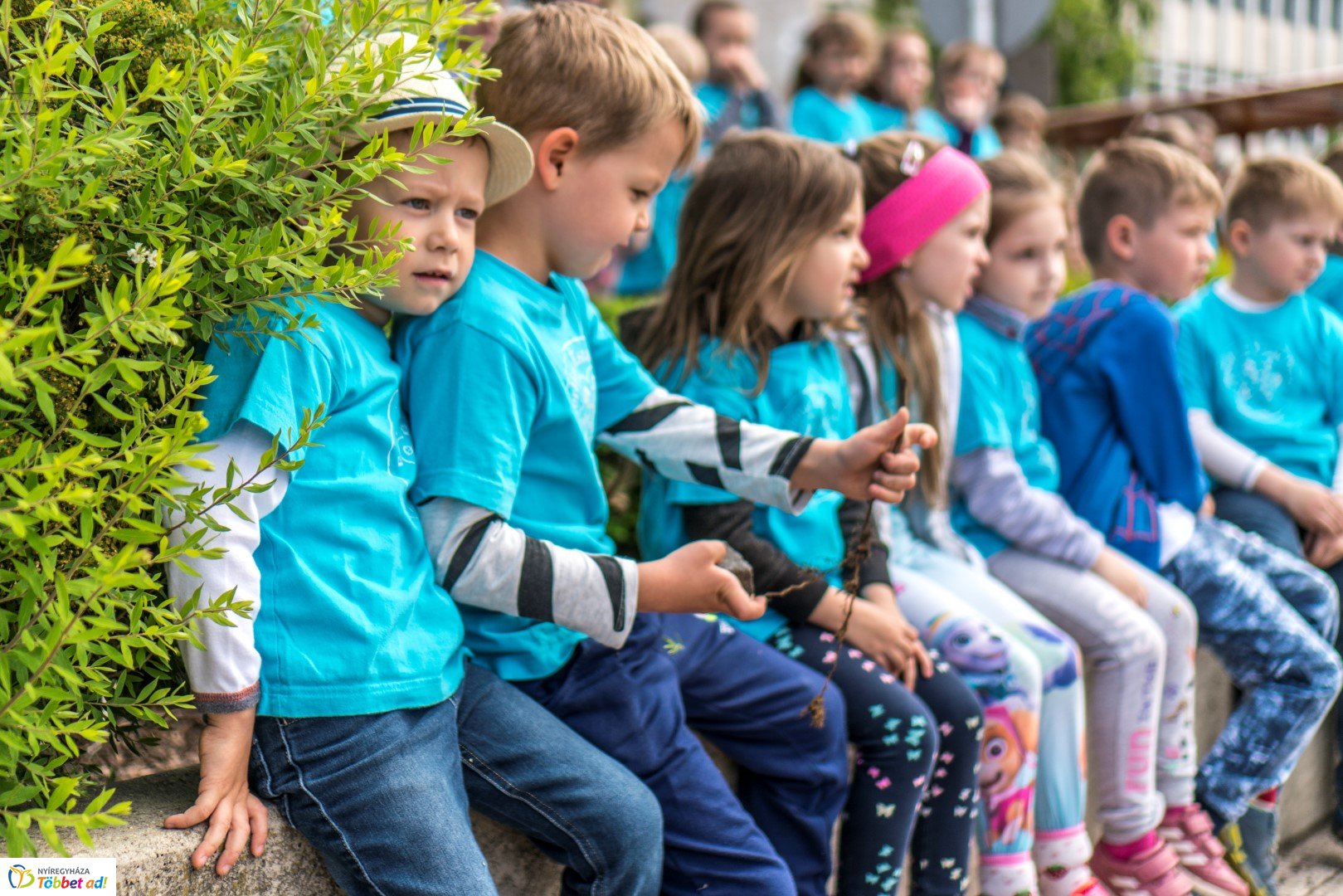 Ovisok vetélkedője a Hello Nyíregyházán
