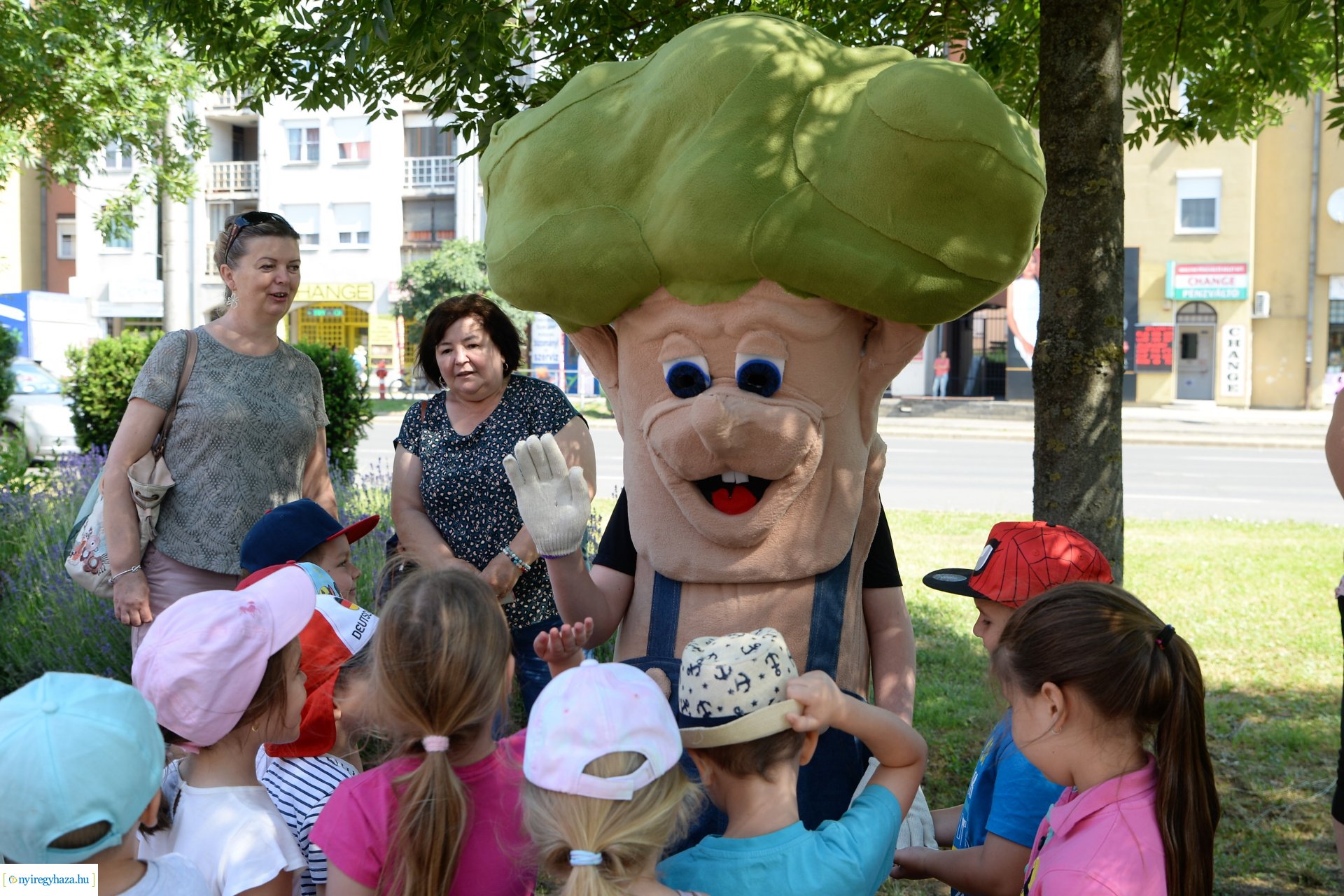 Óvodások virágot ültettek a belvárosban Lomb Botond segítségével