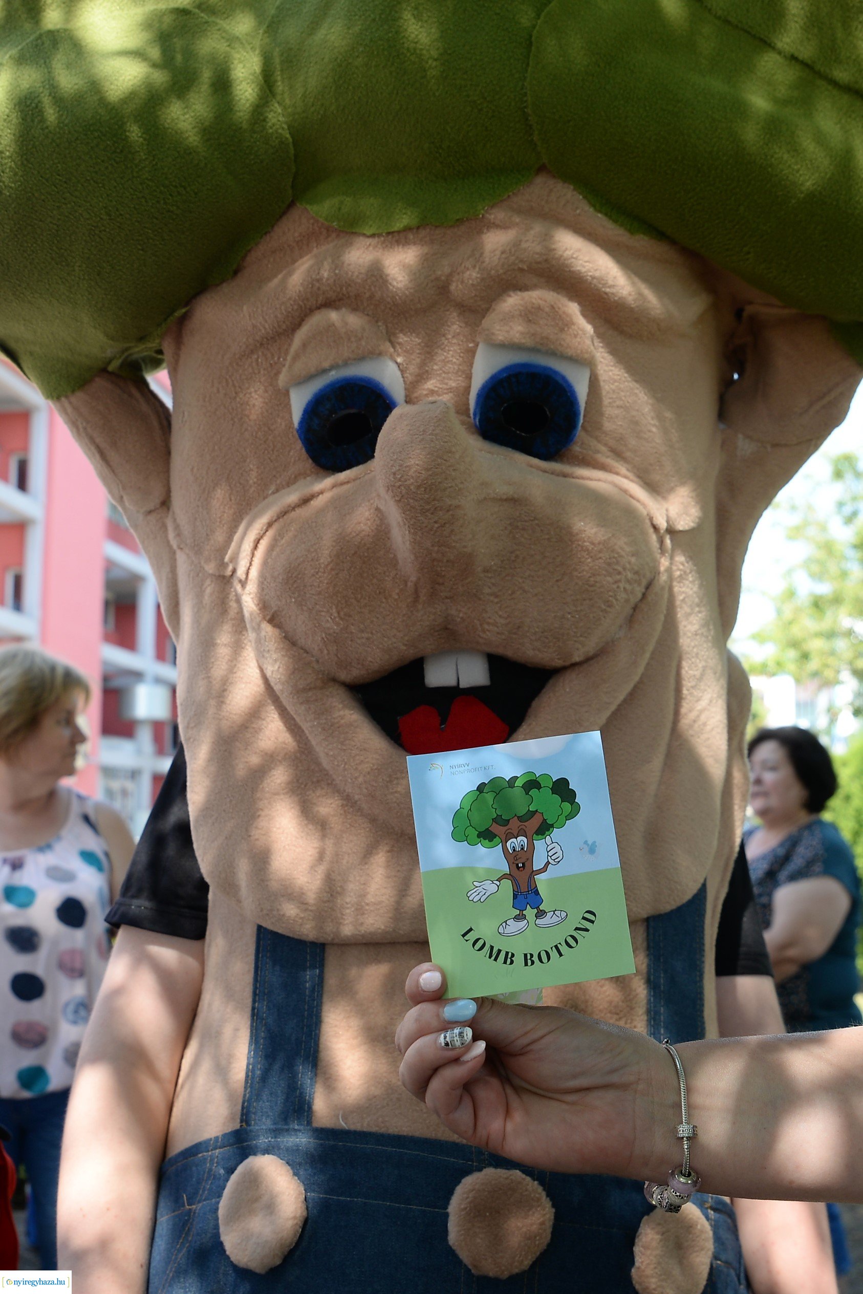 Óvodások virágot ültettek a belvárosban Lomb Botond segítségével