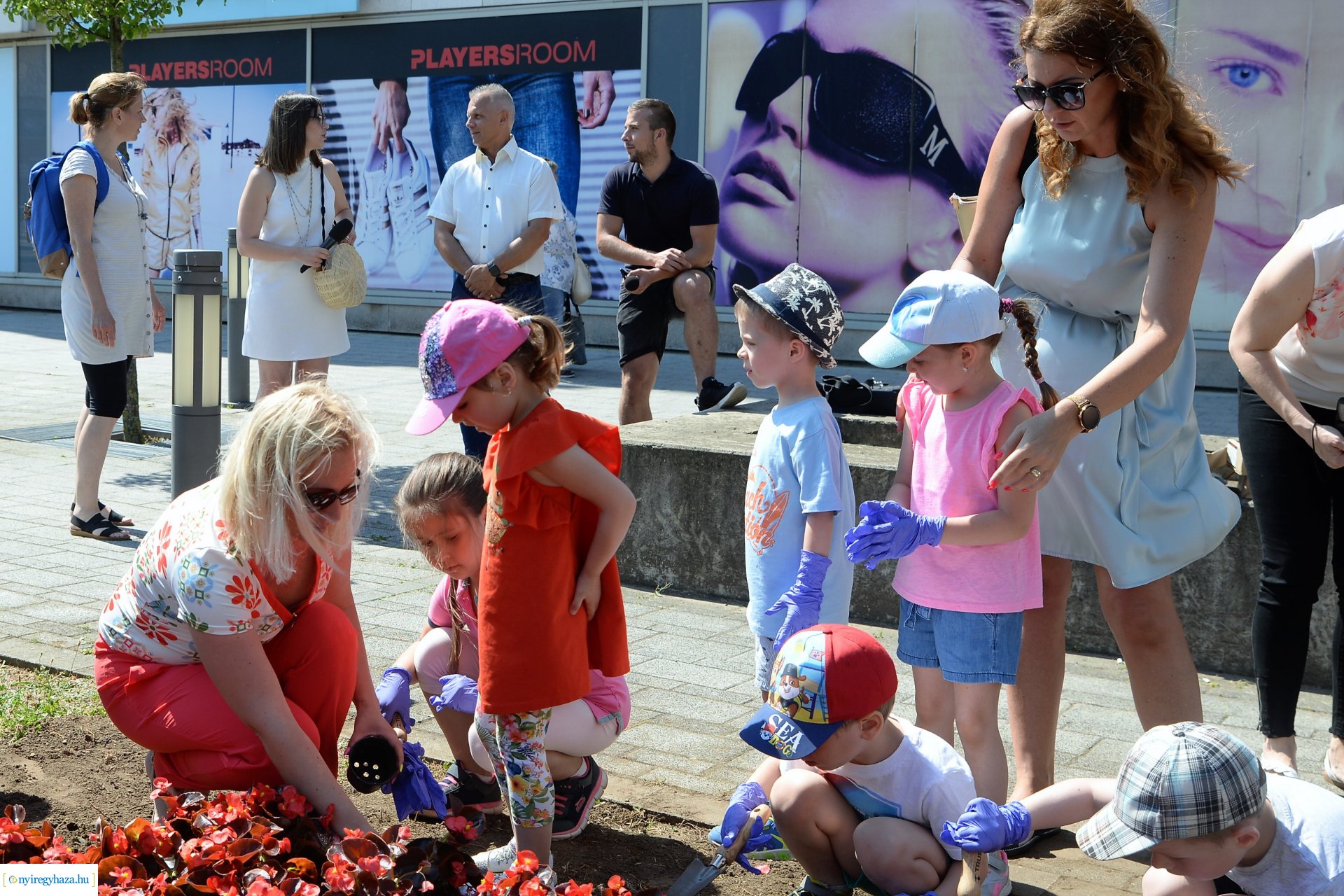 Óvodások virágot ültettek a belvárosban Lomb Botond segítségével