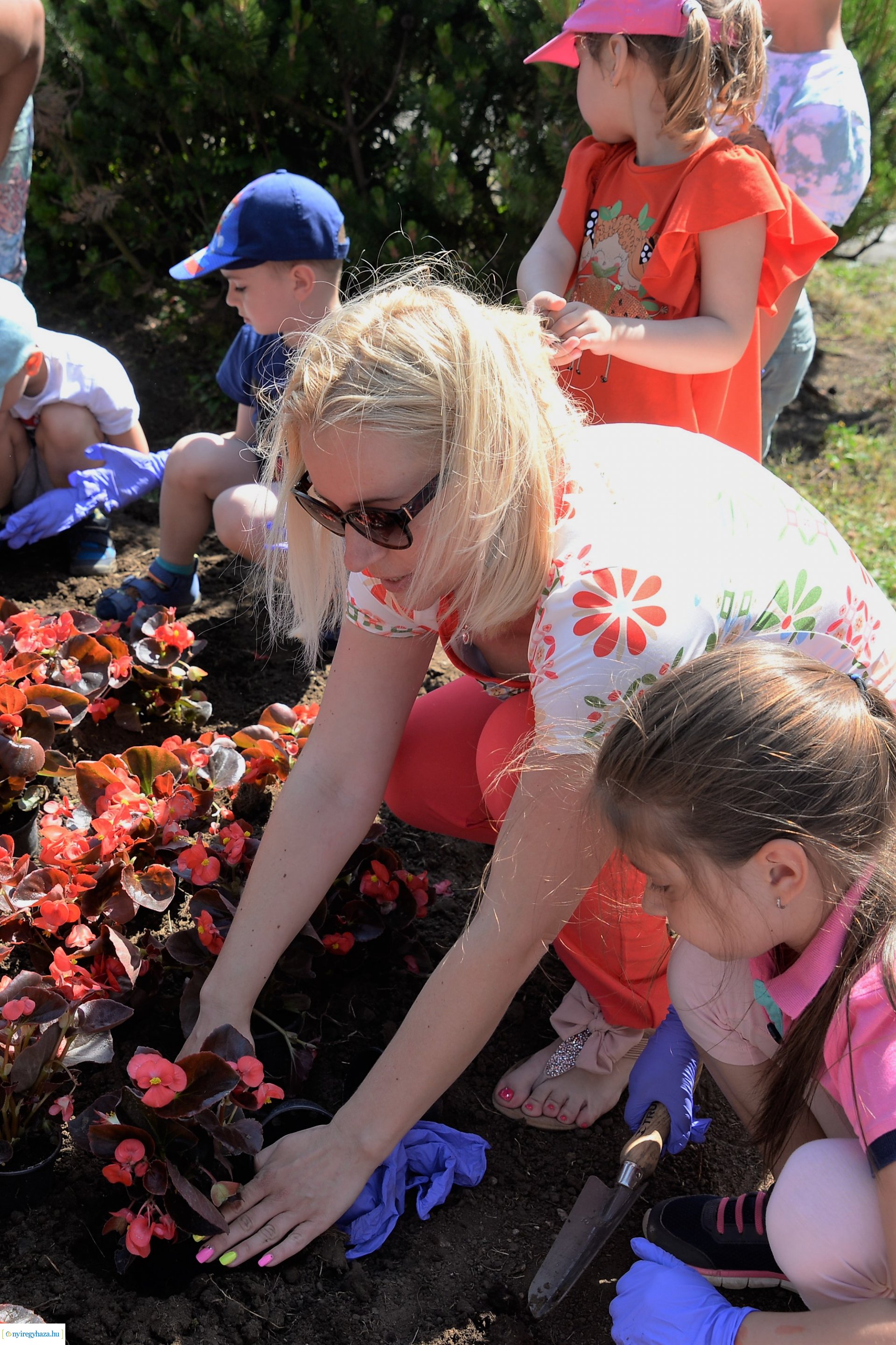 Óvodások virágot ültettek a belvárosban Lomb Botond segítségével
