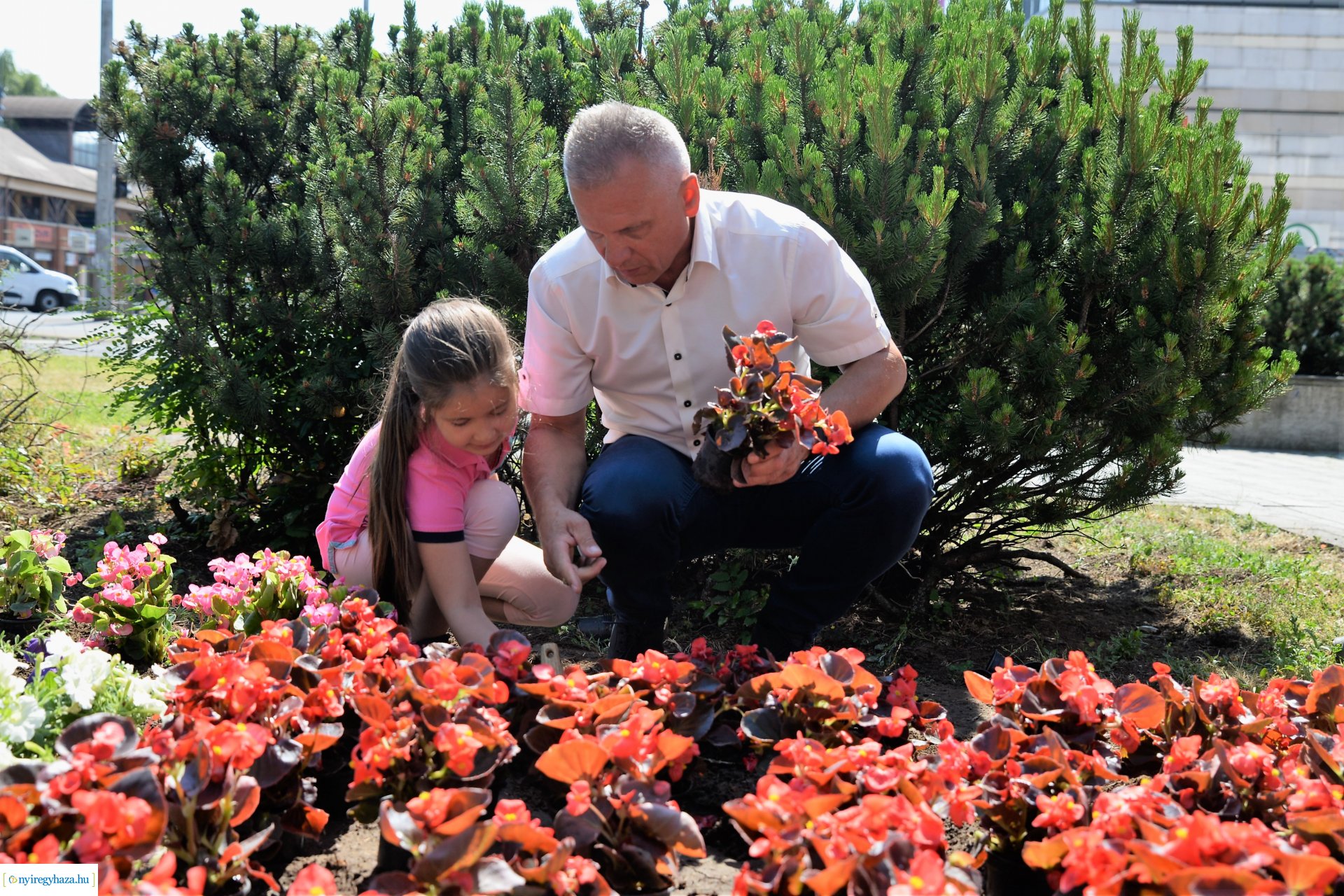 Óvodások virágot ültettek a belvárosban Lomb Botond segítségével