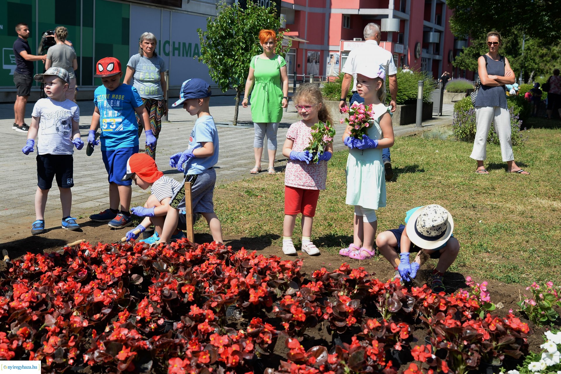 Óvodások virágot ültettek a belvárosban Lomb Botond segítségével
