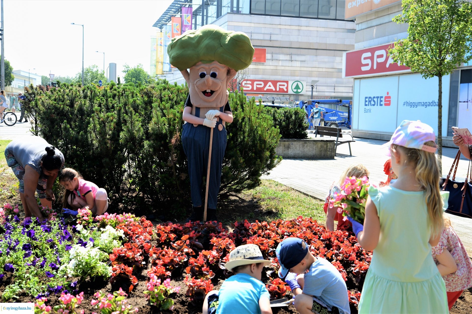 Óvodások virágot ültettek a belvárosban Lomb Botond segítségével