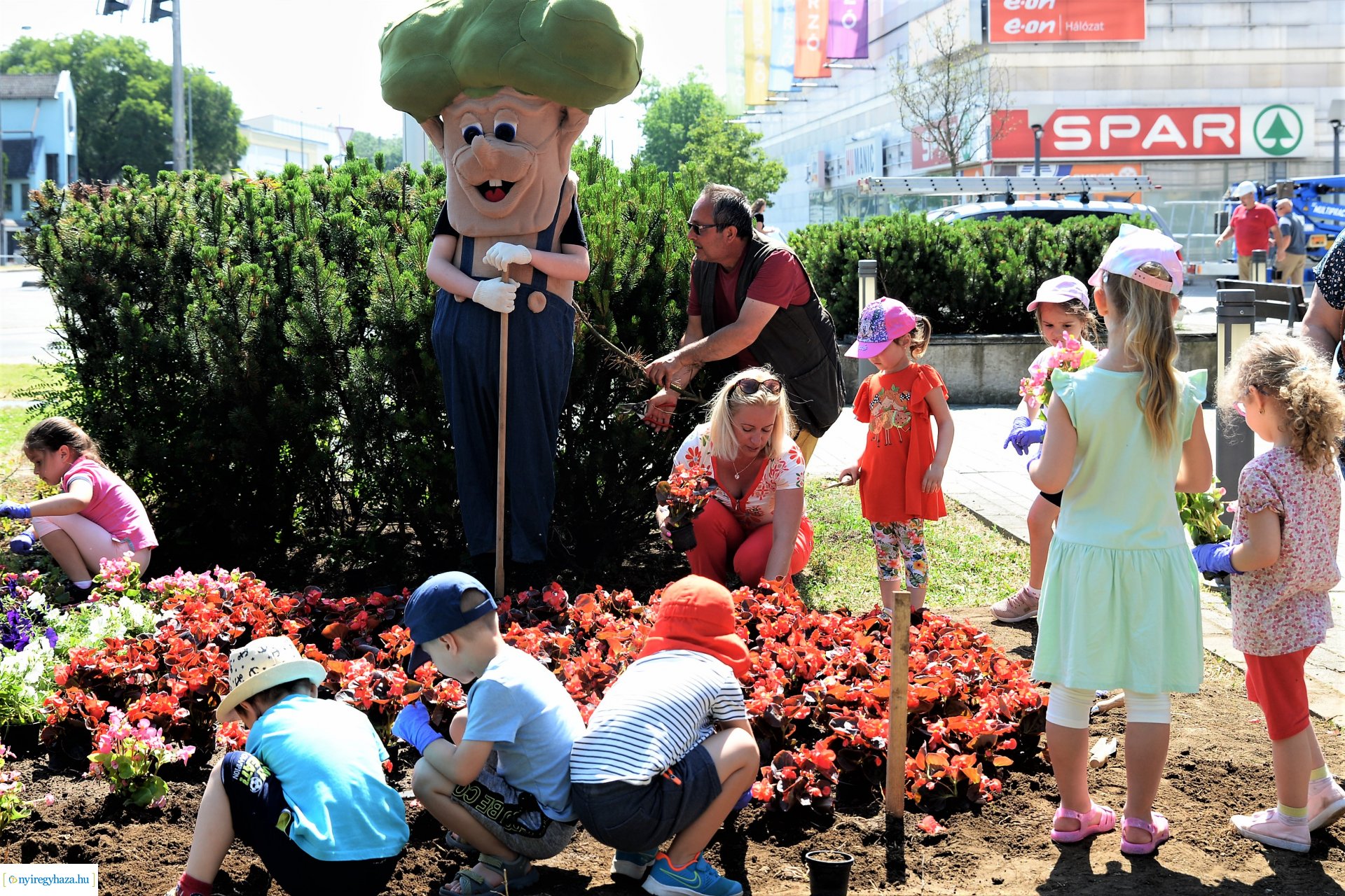 Óvodások virágot ültettek a belvárosban Lomb Botond segítségével