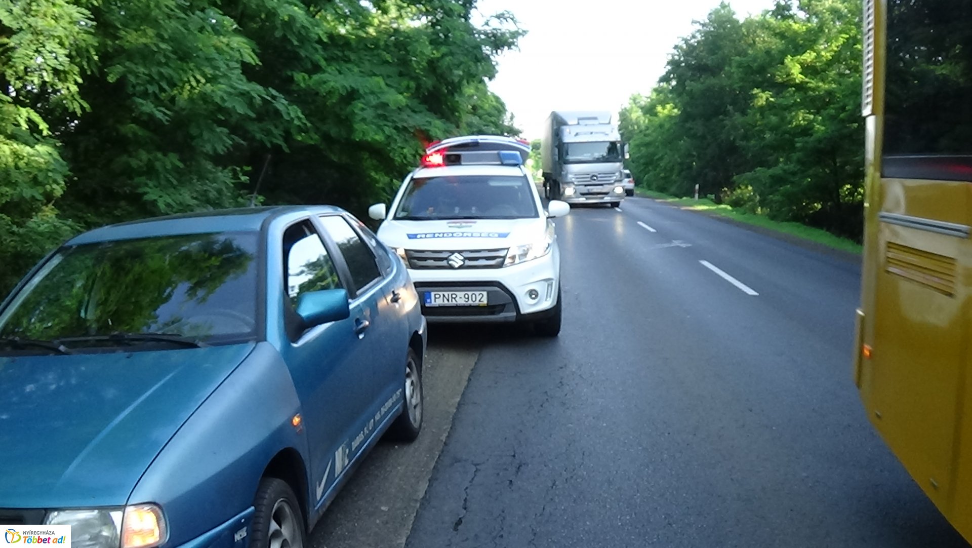 Őzet gázoltak Nyírjestanyánál – A vad túlélte az esetet