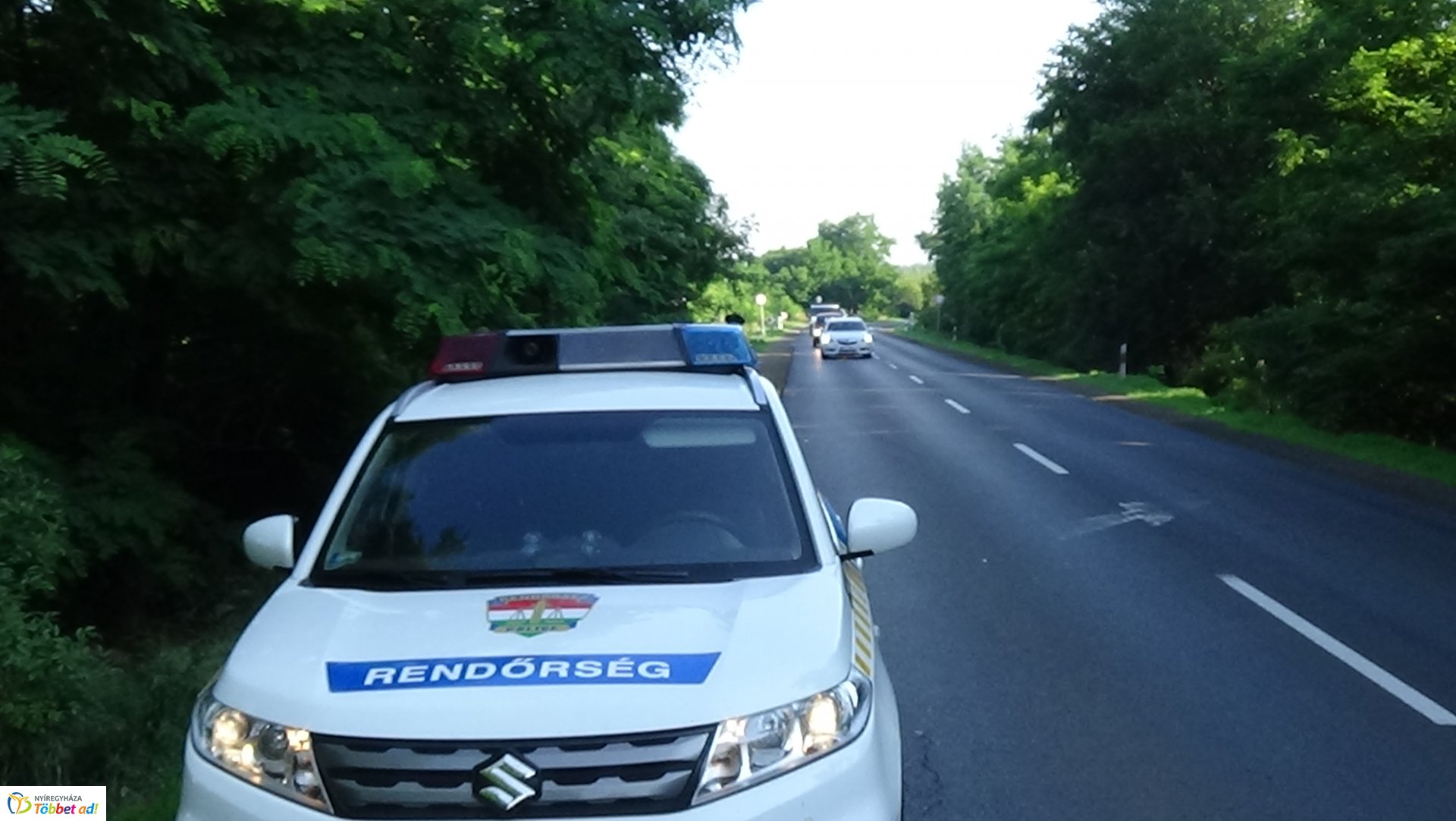 Őzet gázoltak Nyírjestanyánál – A vad túlélte az esetet