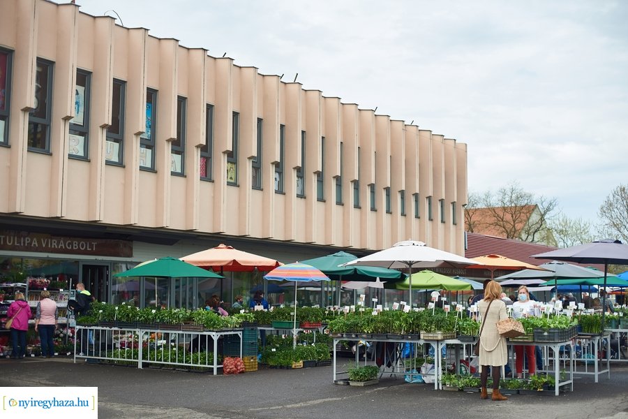 Palánta vásár a Búza téri piacon 2021 05 01