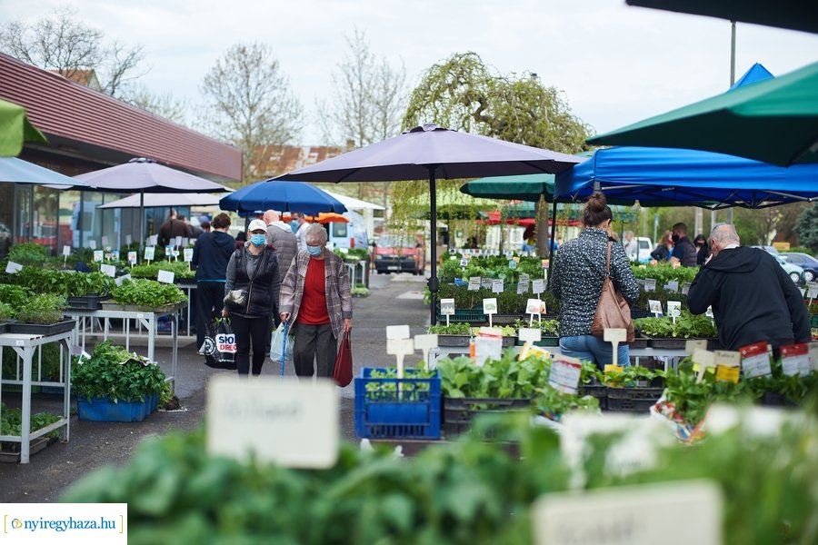 Palánta vásár a Búza téri piacon 2021 05 01