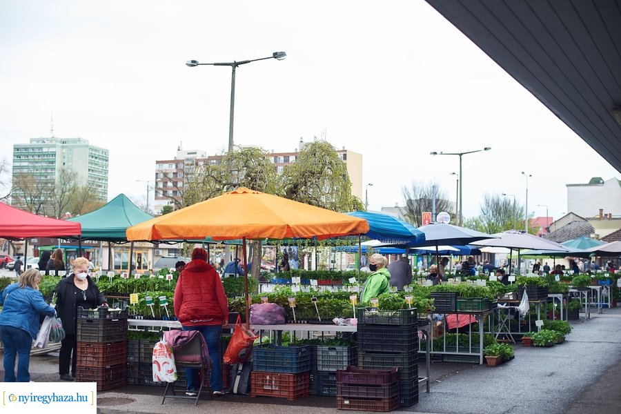 Palánta vásár a Búza téri piacon 2021 05 01