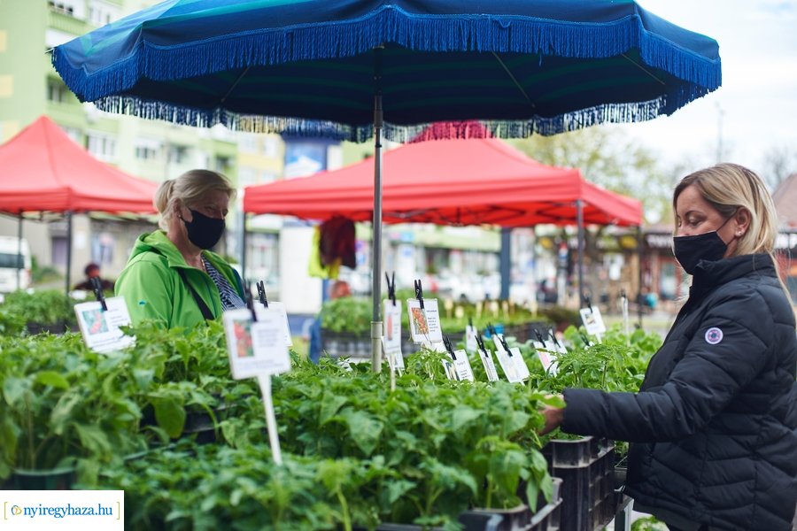 Palánta vásár a Búza téri piacon 2021 05 01