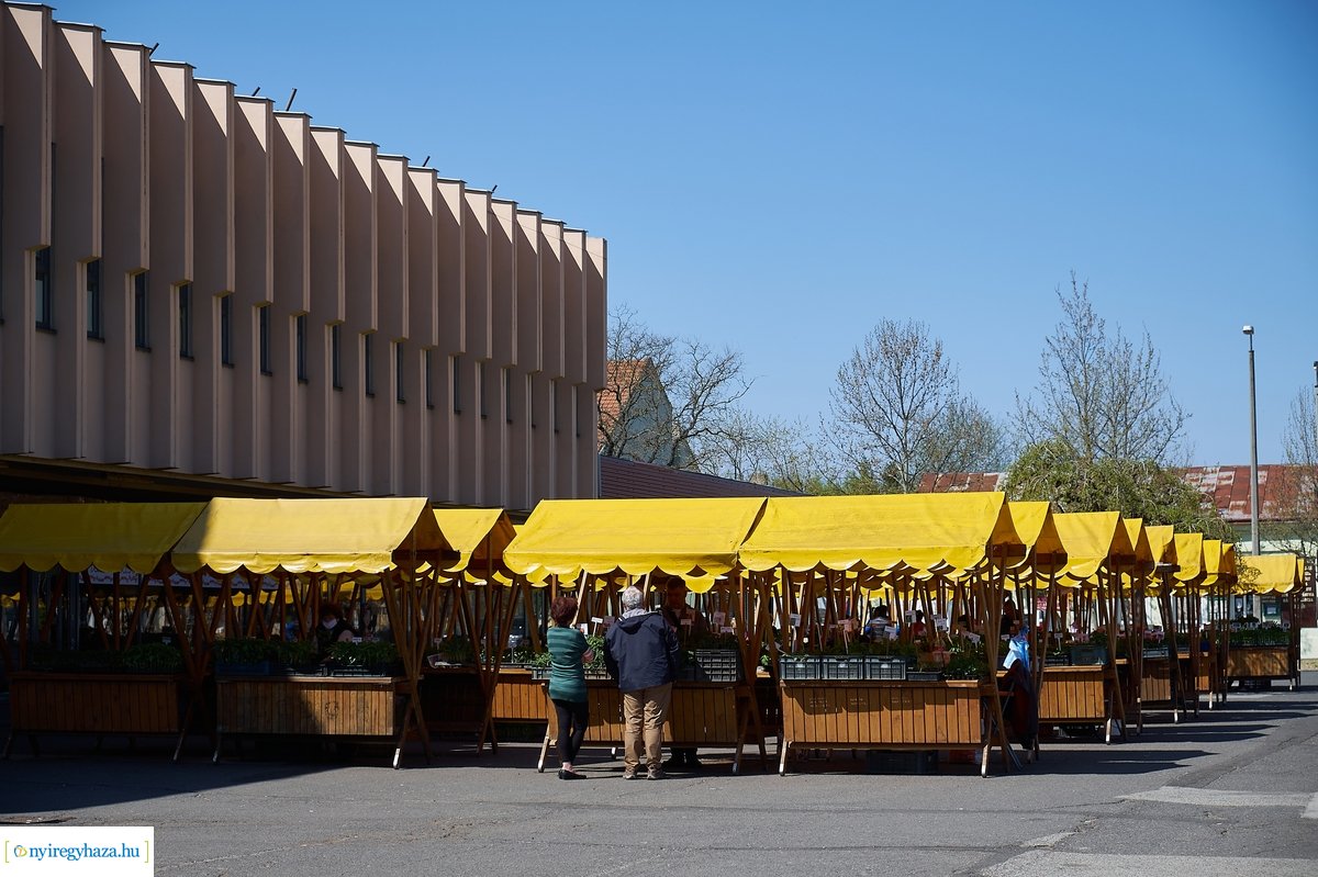 Palántavásár a Búza téren