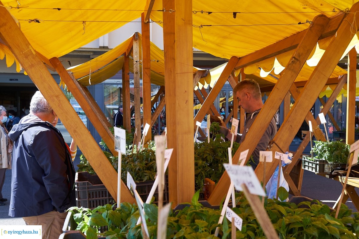 Palántavásár a Búza téren