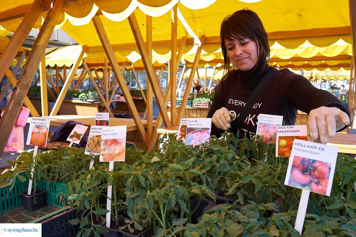 Palántavásár a Búza téren