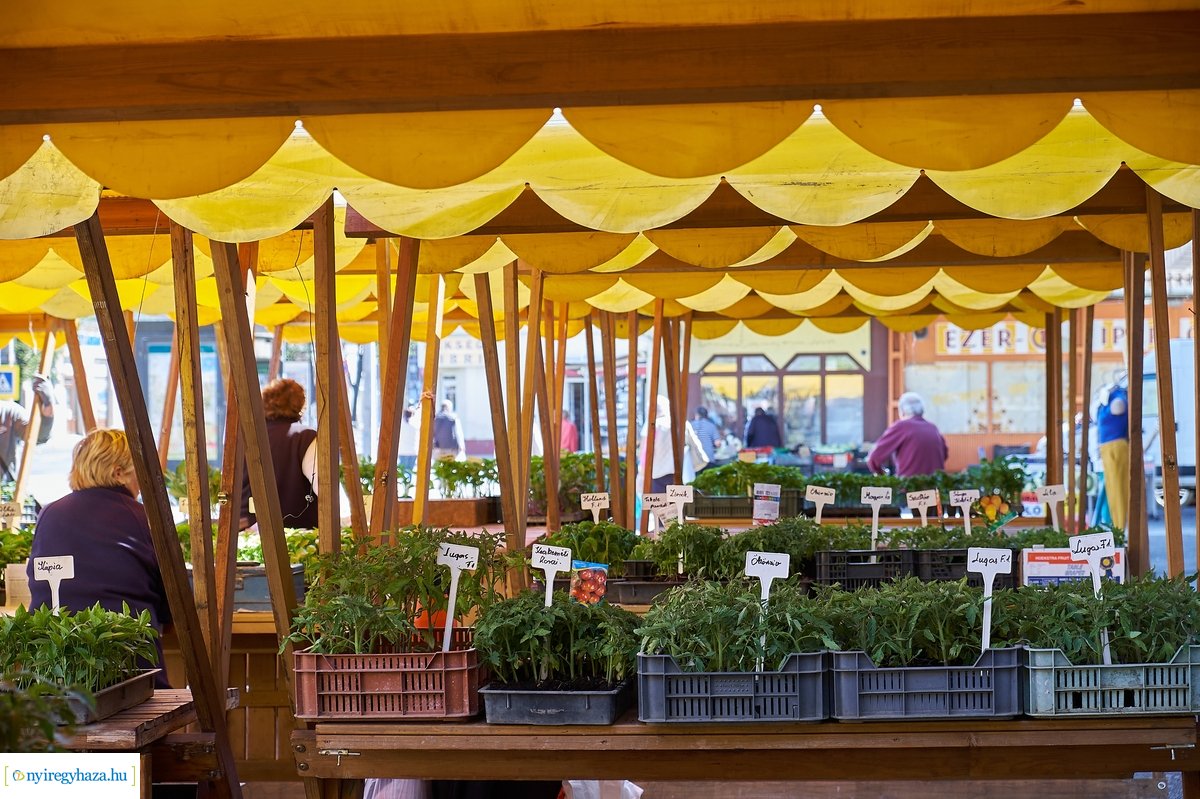 Palántavásár a Búza téren