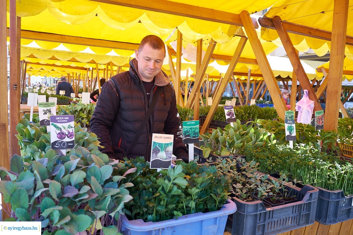 Palántavásár a Búza téren