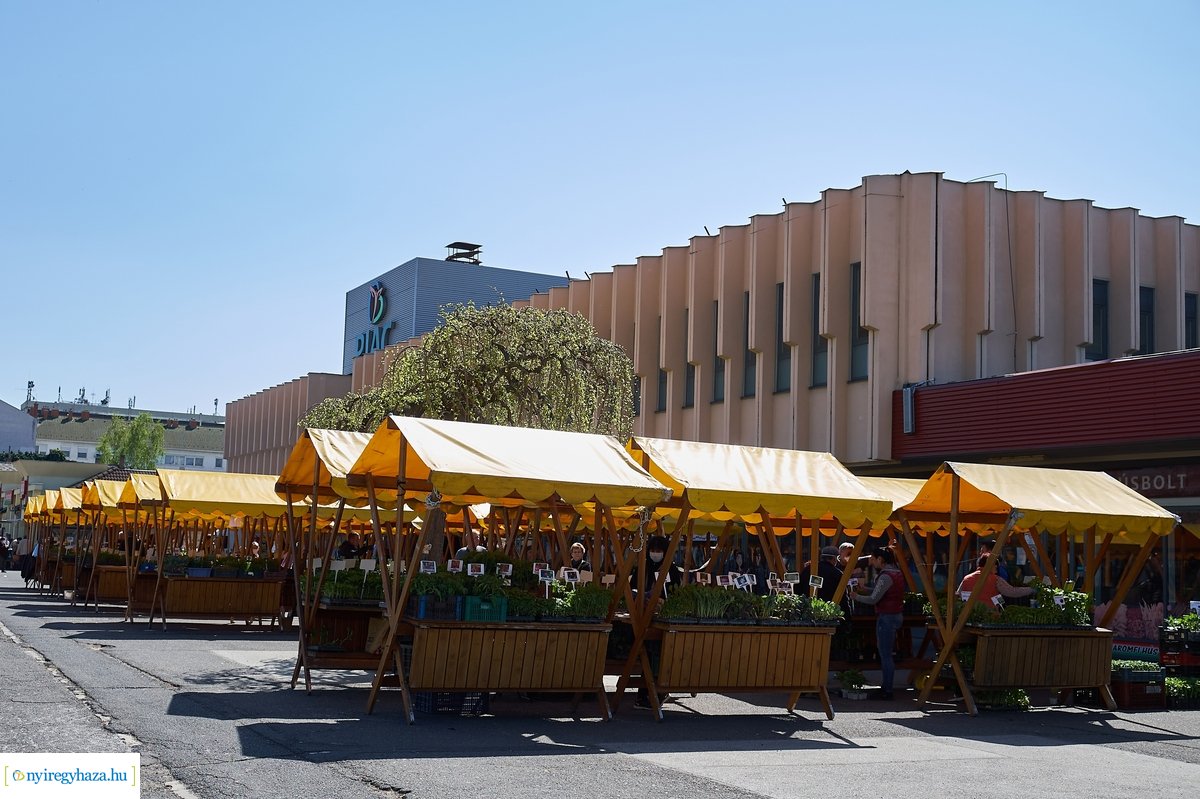 Palántavásár a Búza téren