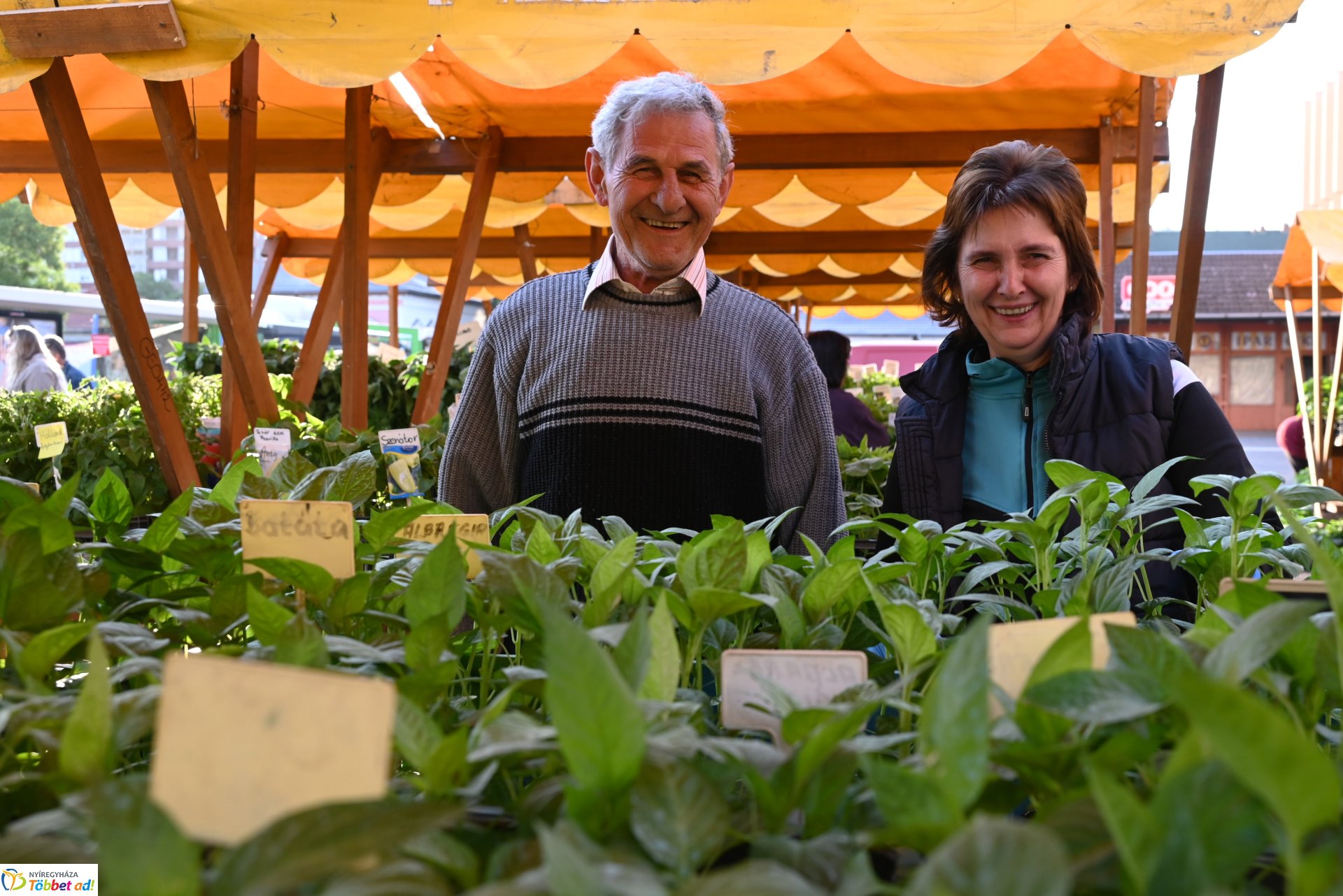 Palántavásár a Búza téri piacon