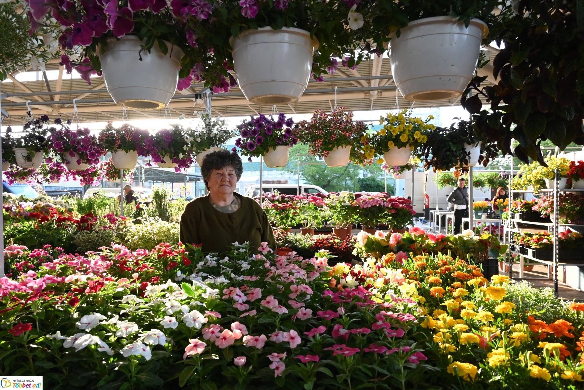 Palántavásár a Búza téri piacon