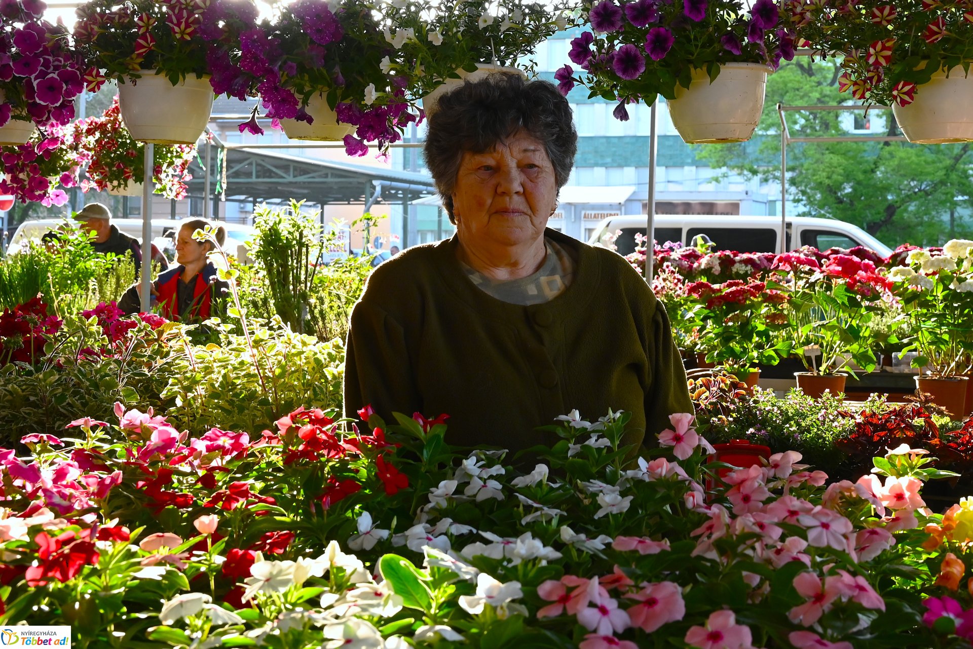 Palántavásár a Búza téri piacon
