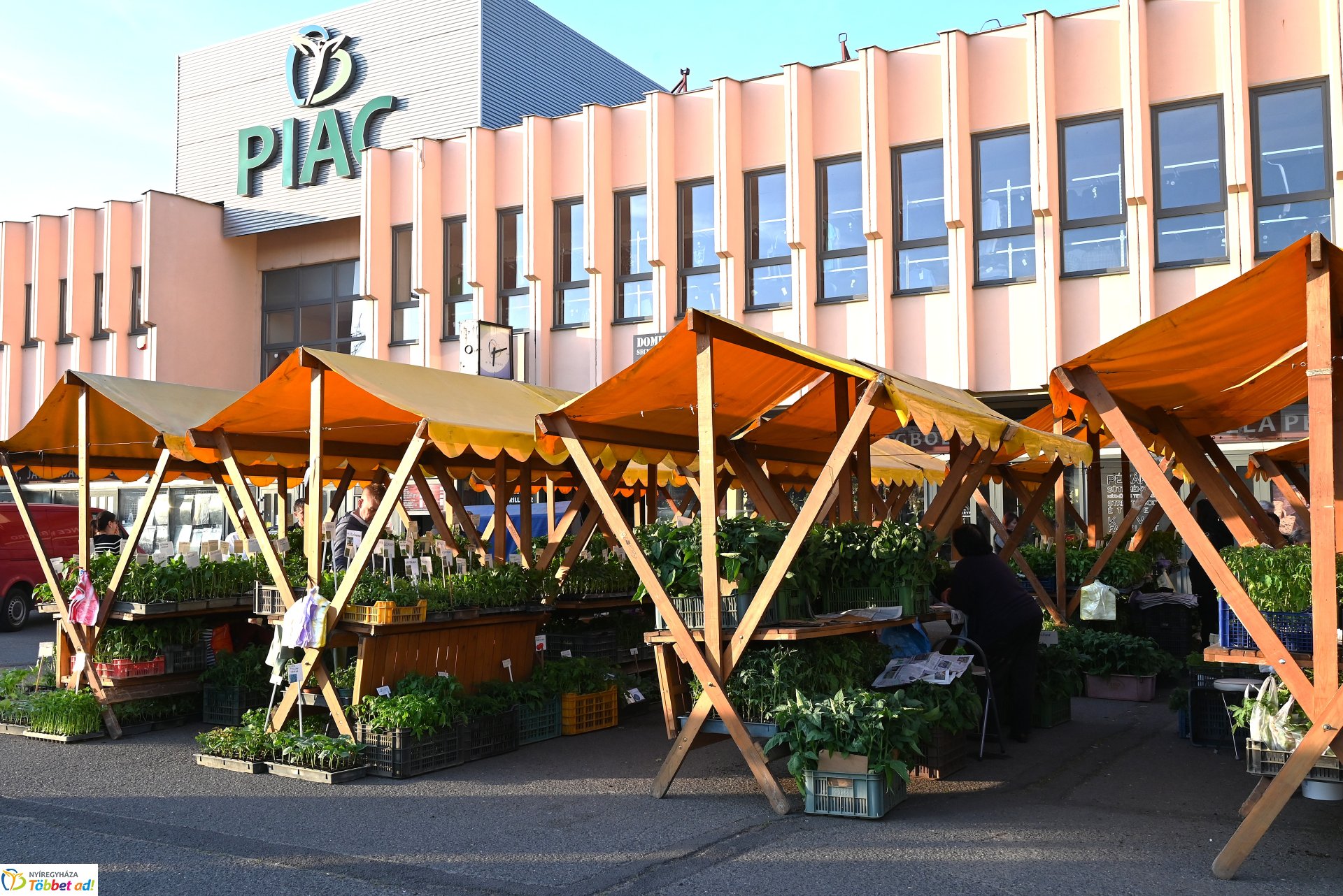 Palántavásár a Búza téri piacon