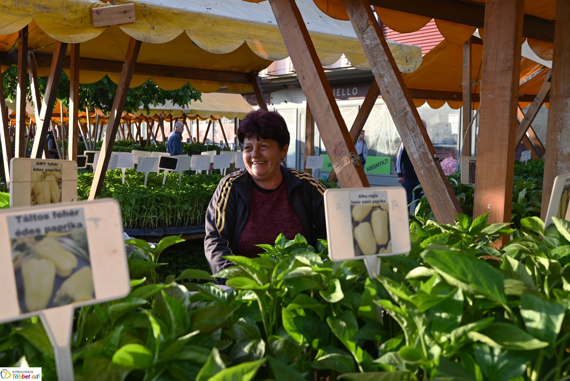 Palántavásár a Búza téri piacon