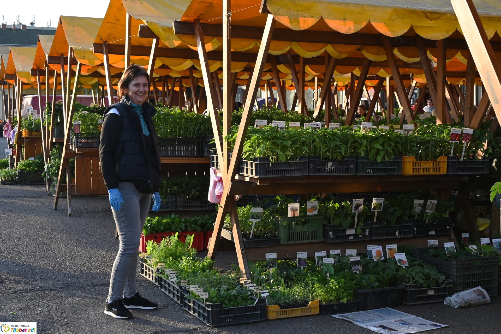 Palántavásár a Búza téri piacon