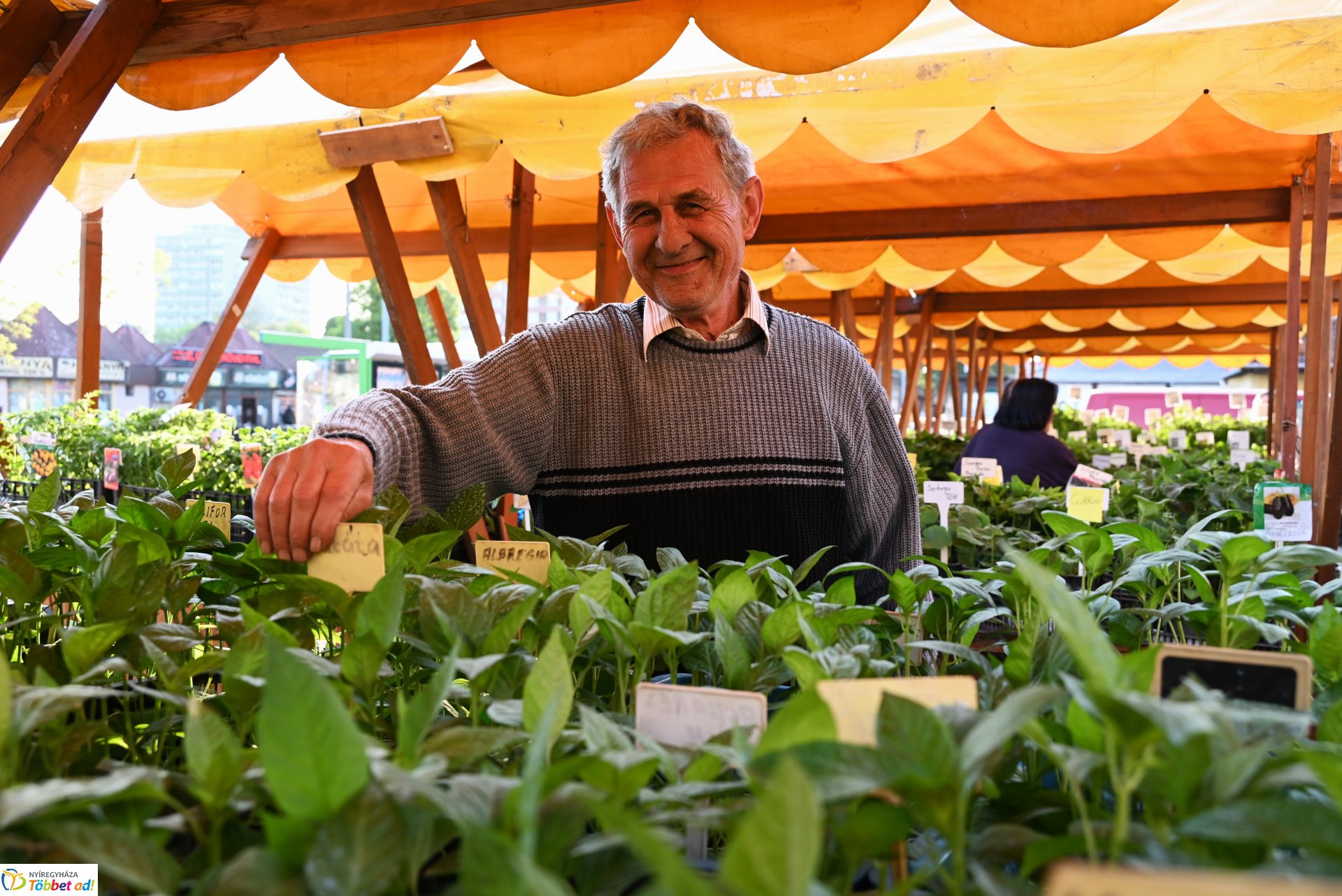 Palántavásár a Búza téri piacon