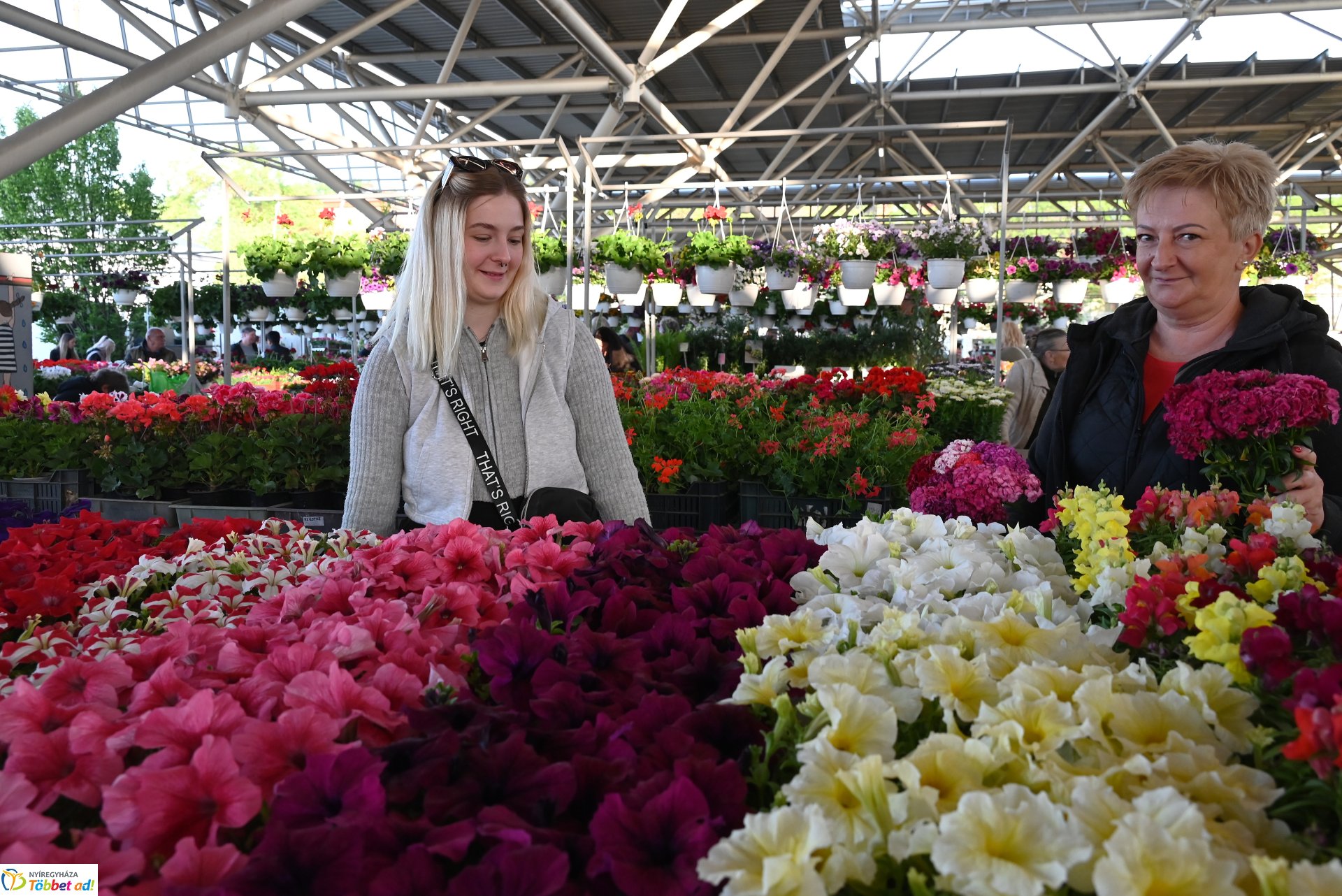 Palántavásár a Búza téri piacon