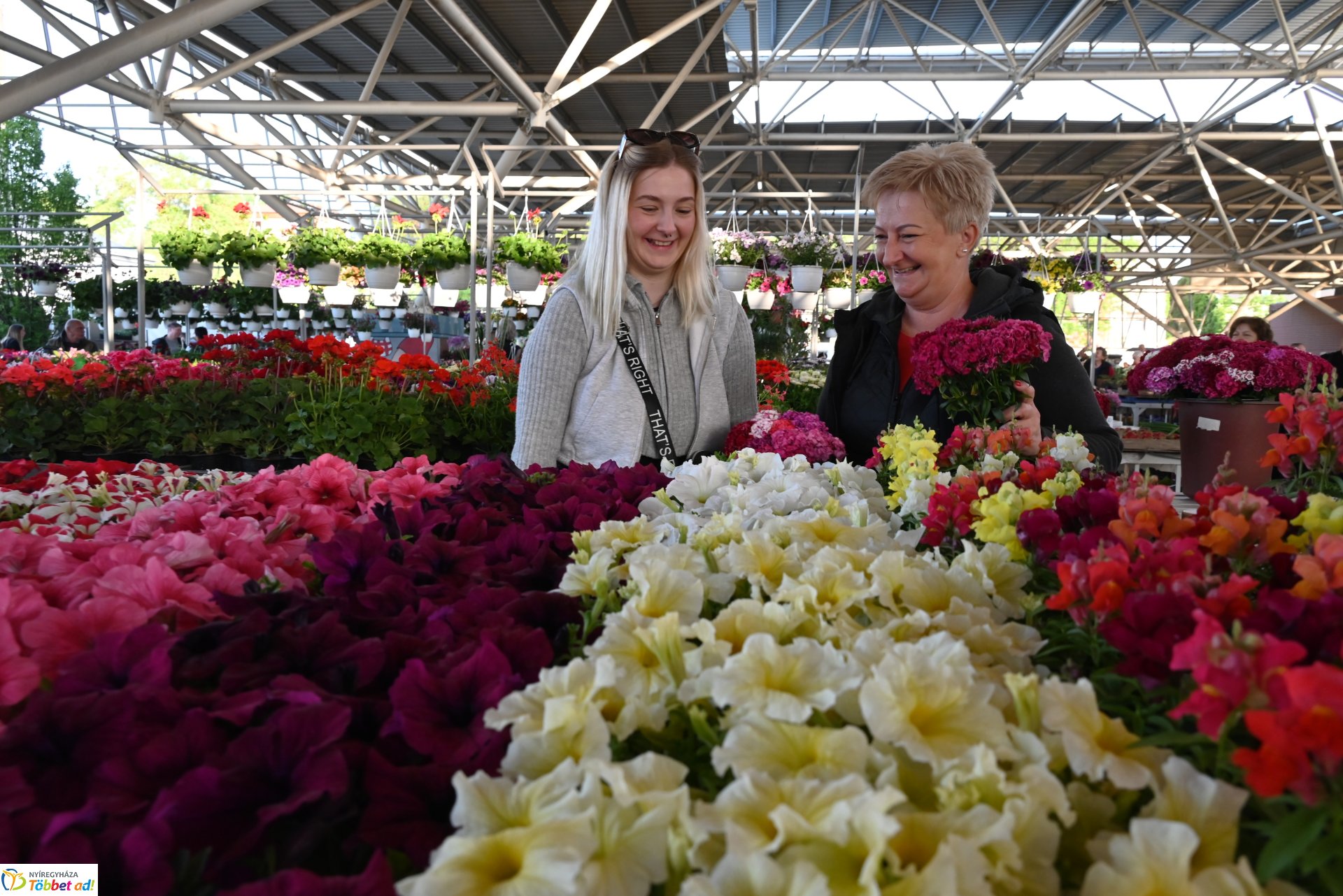 Palántavásár a Búza téri piacon