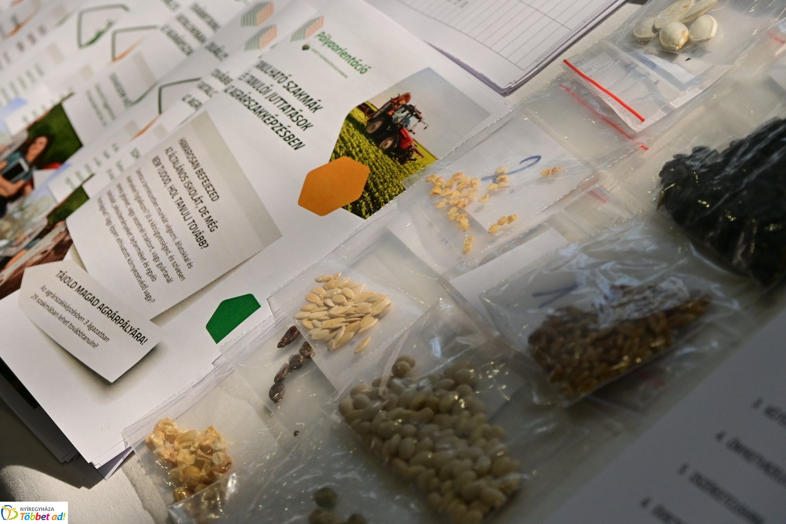 Pályaorientációs nap a Móricz iskolában - 2025