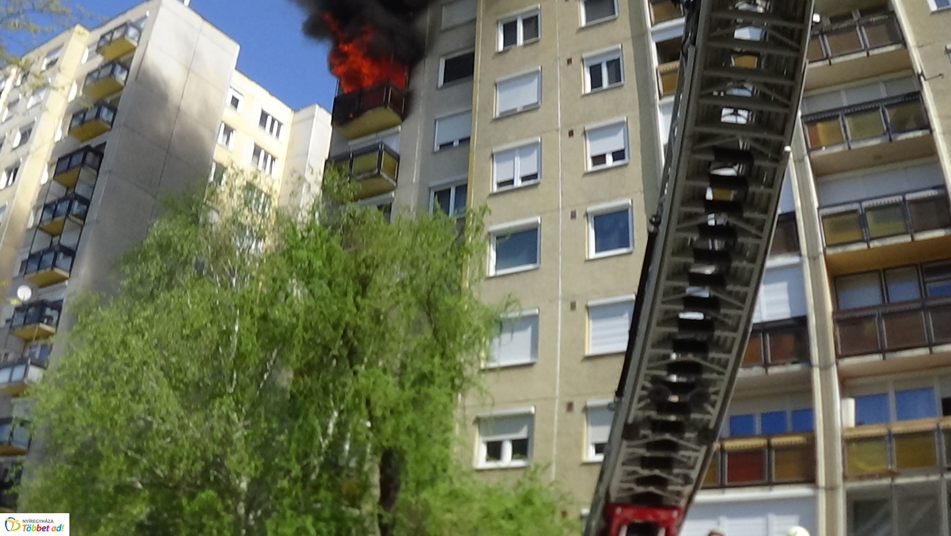 Paneltűz Örökösföldön