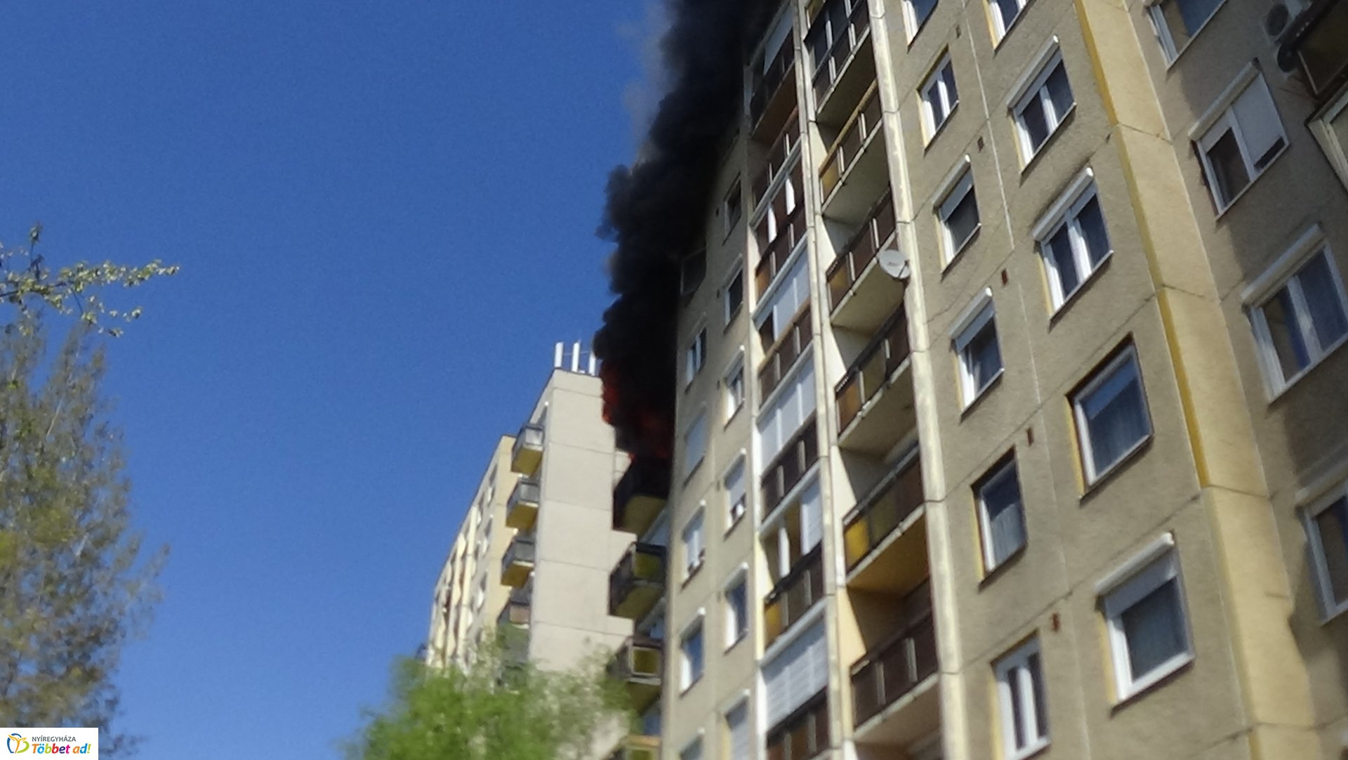 Paneltűz Örökösföldön