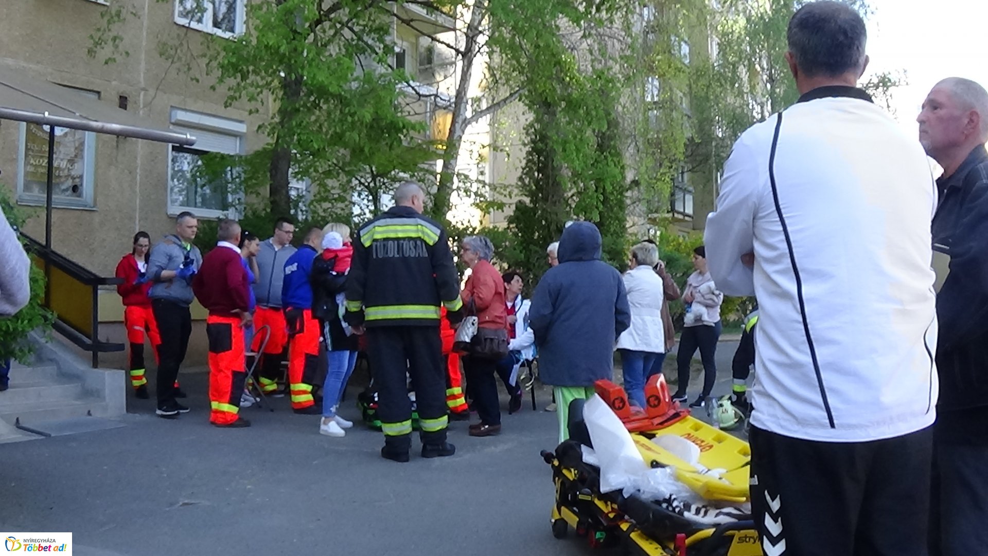 Paneltűz Örökösföldön