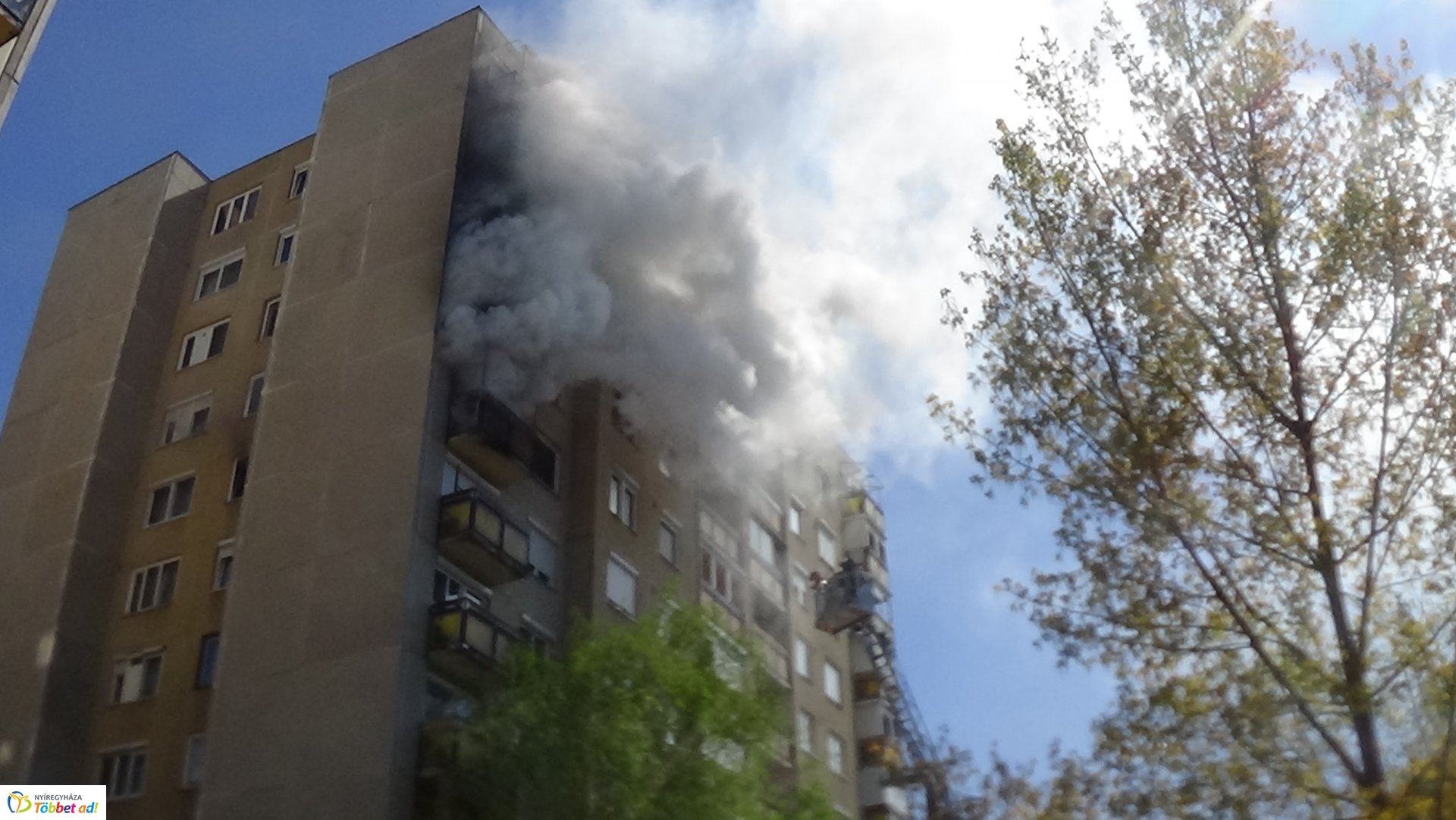 Paneltűz Örökösföldön