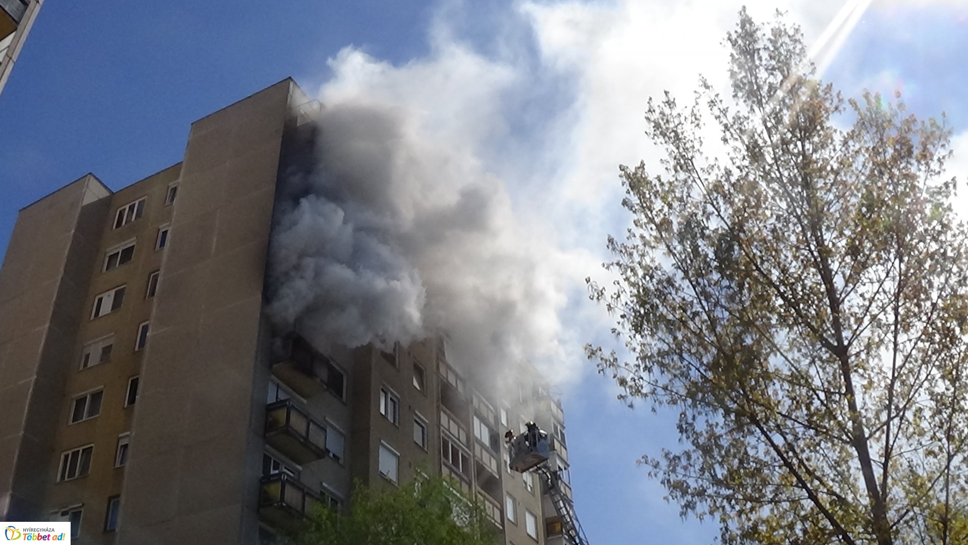 Paneltűz Örökösföldön