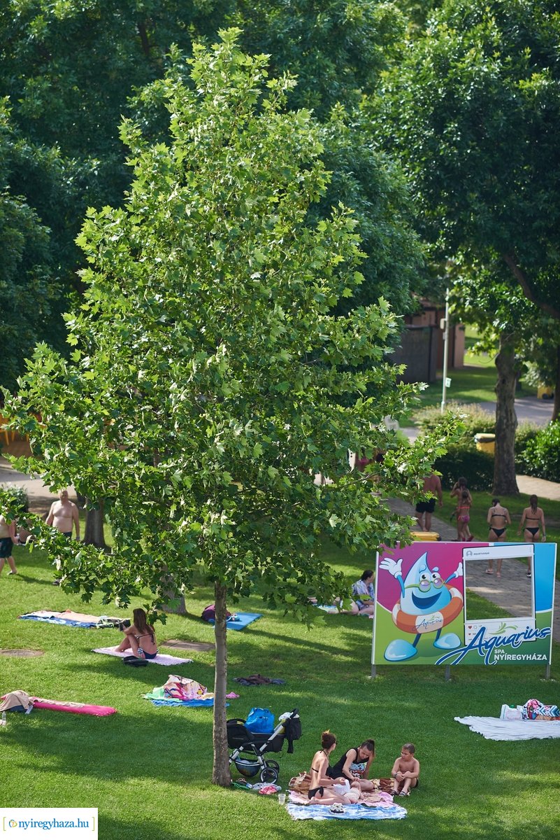 Parkfürdő 20200628