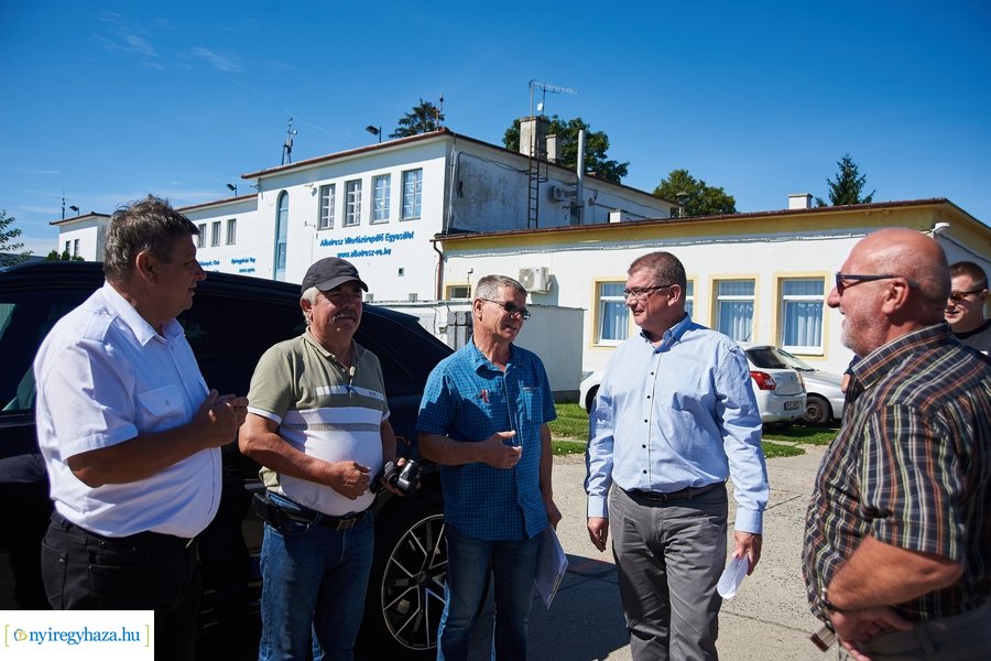 Parlagfű felderítés 20200803