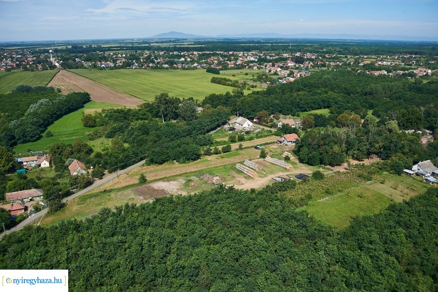 Parlagfű felderítés 20200803