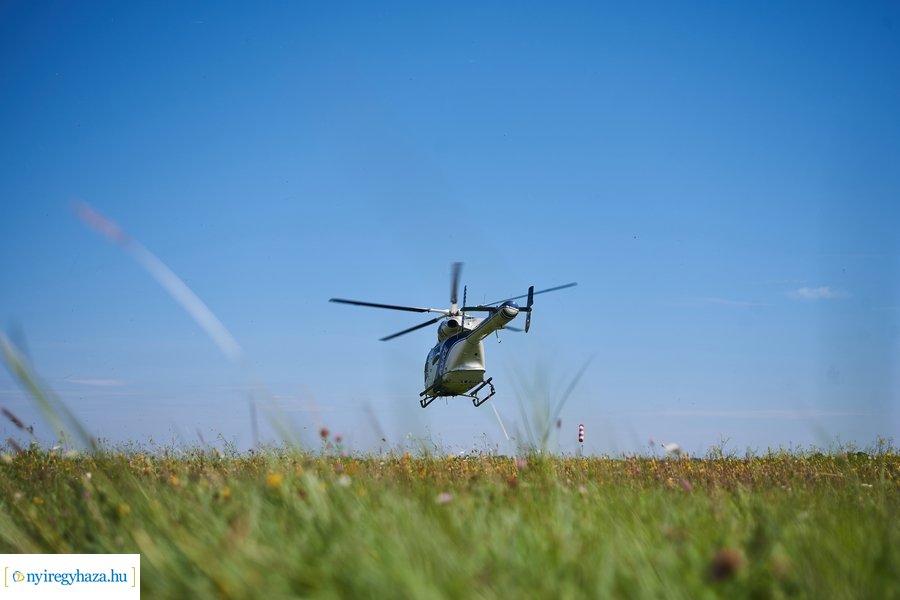 Parlagfű felderítés 20200803