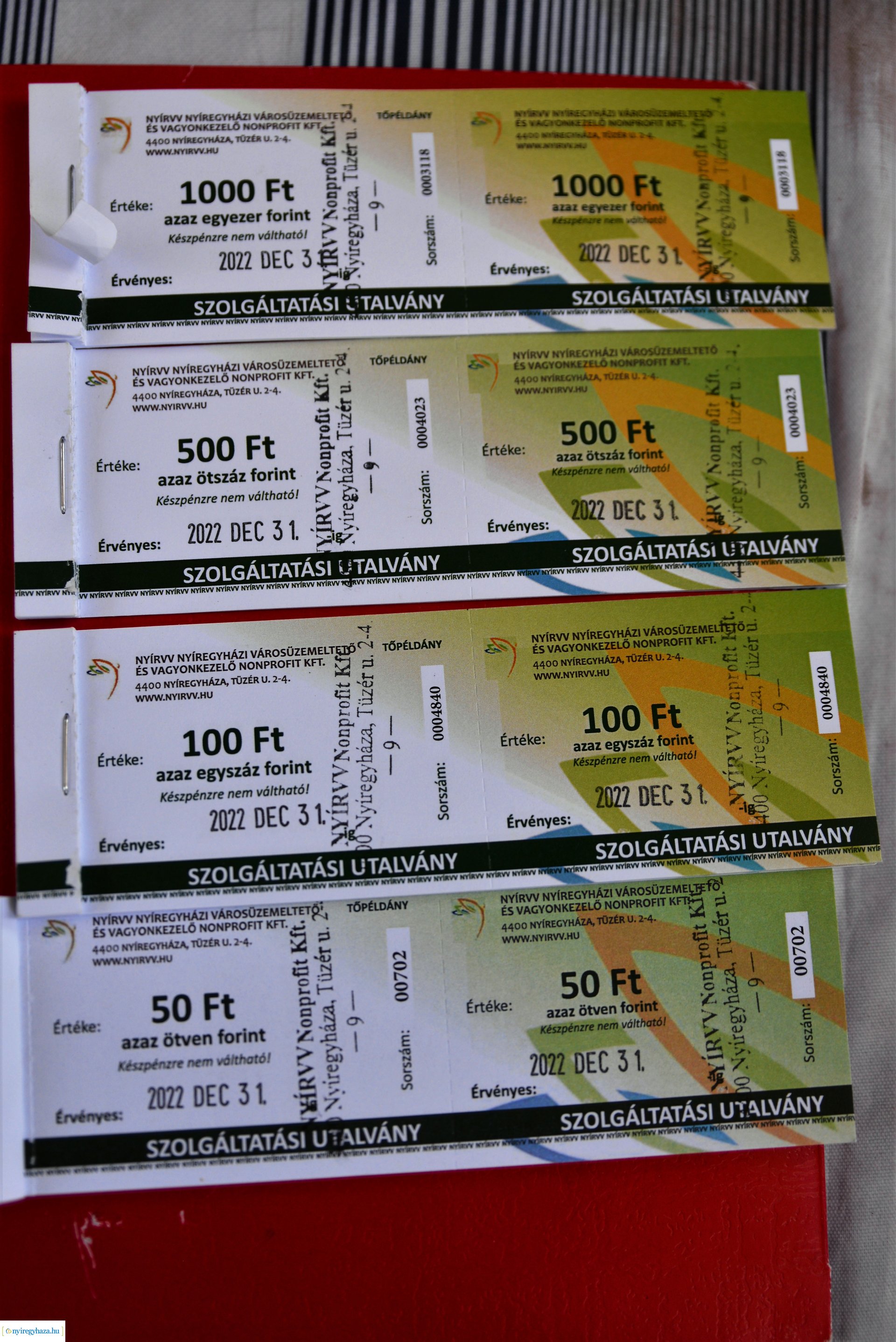 Parlagfűért virág - városszépítő akció