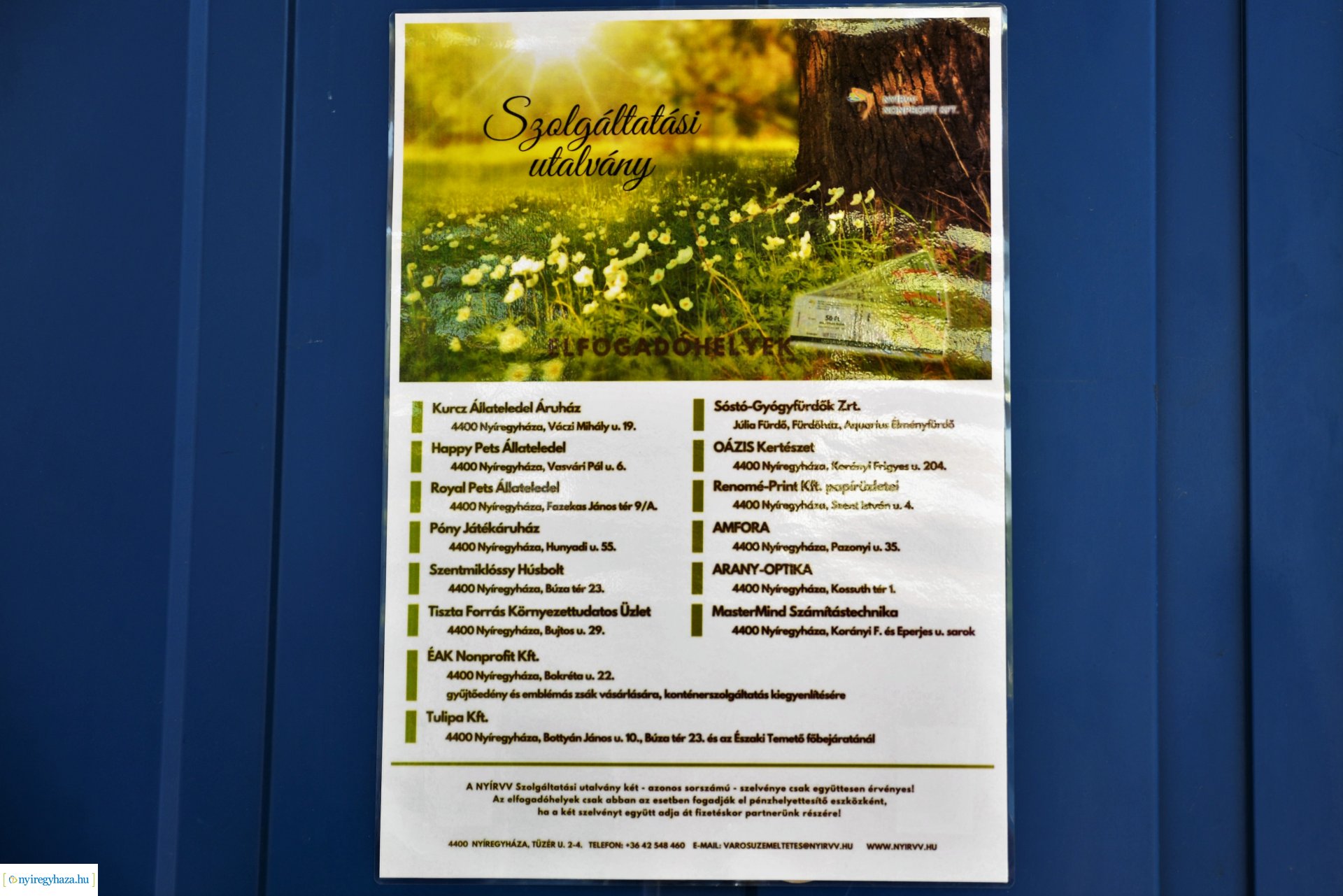 Parlagfűért virág - városszépítő akció