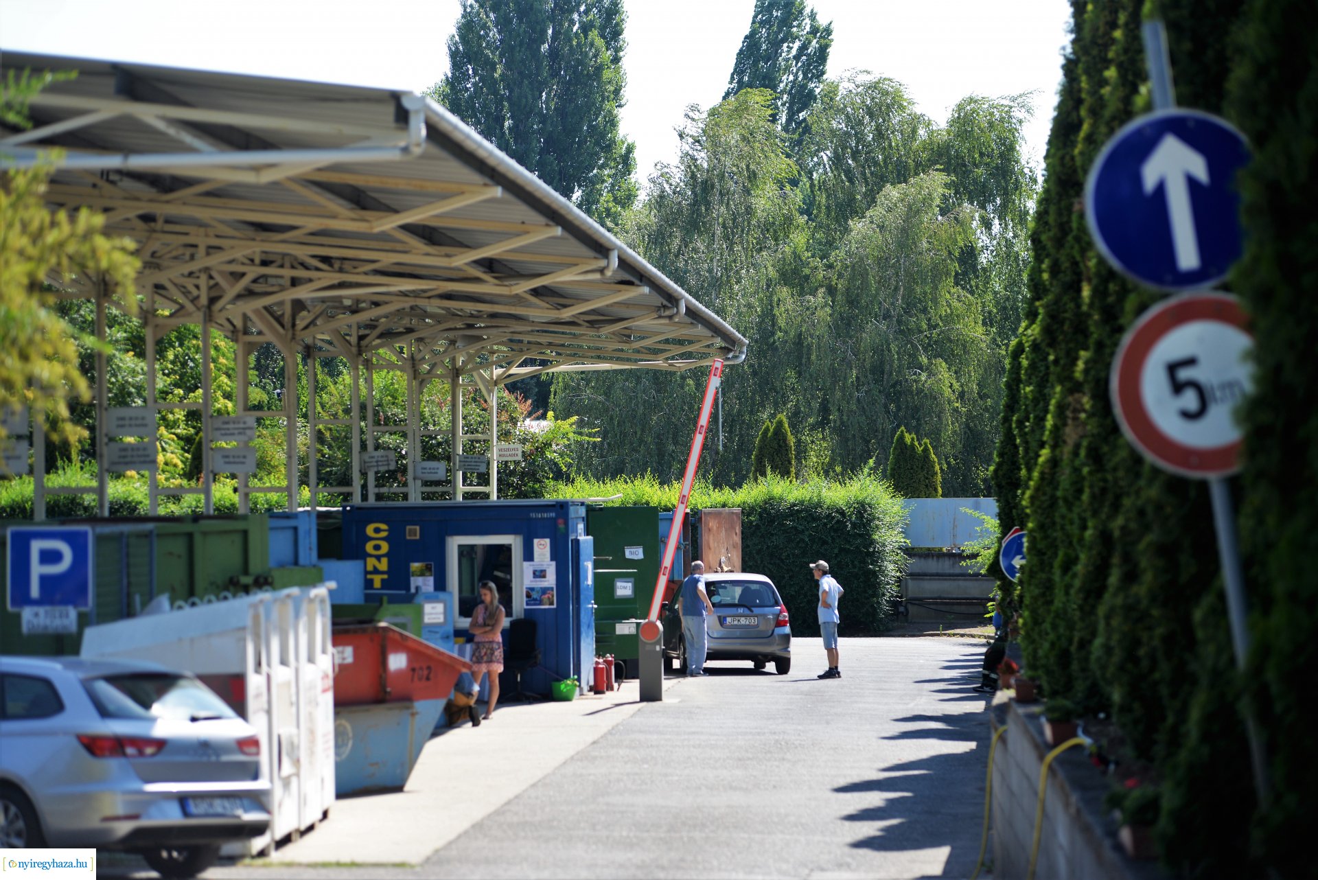 Parlagfűért virág - városszépítő akció