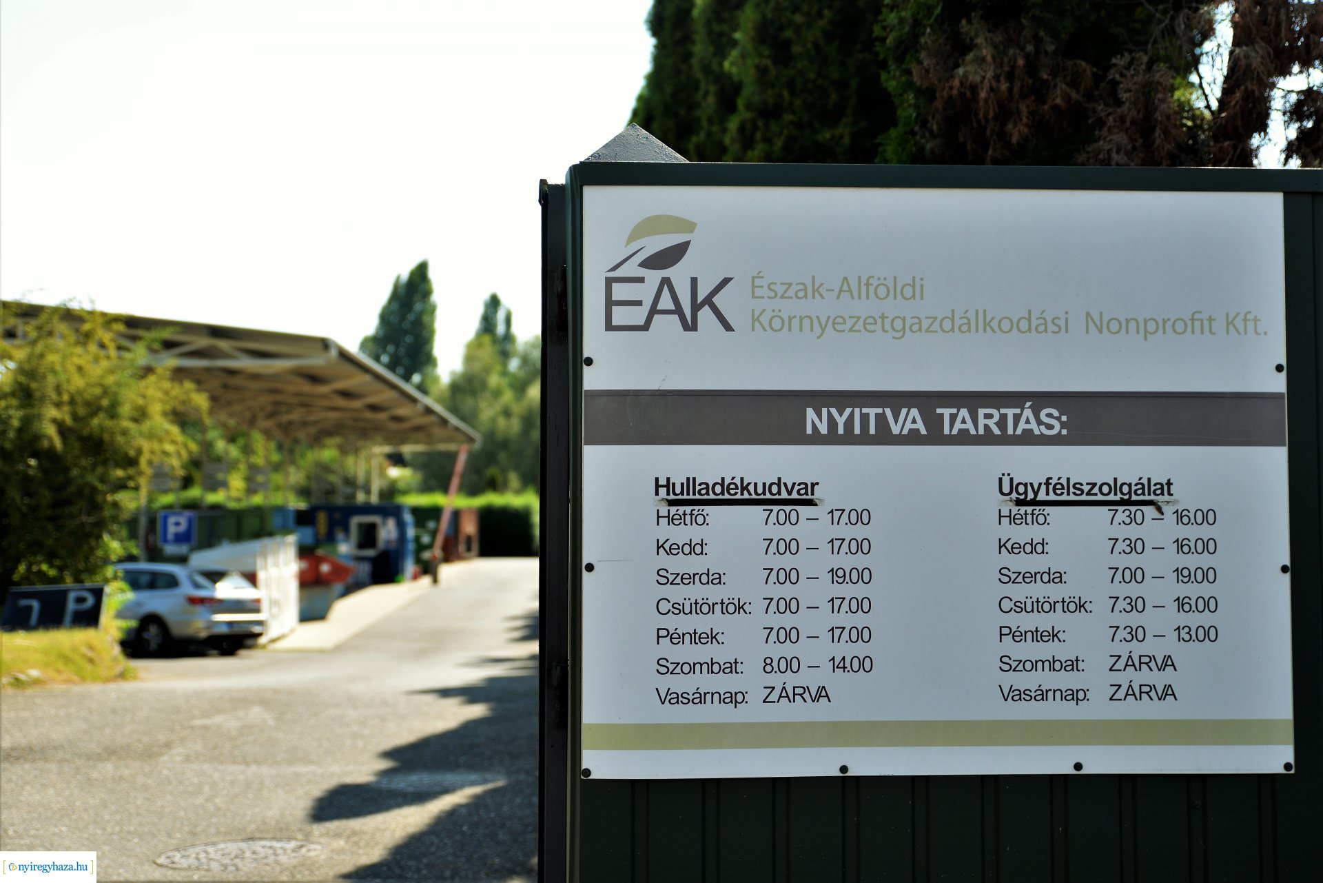 Parlagfűért virág - városszépítő akció