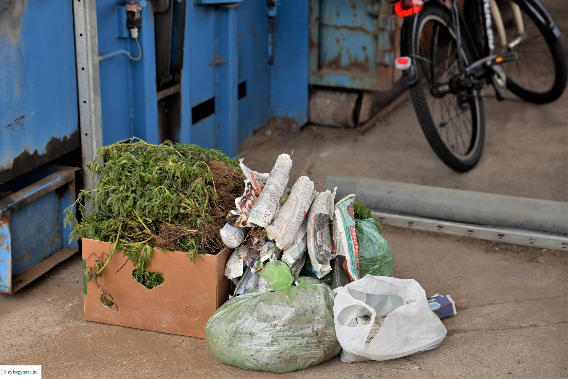 Parlagfűért virág - városszépítő akció
