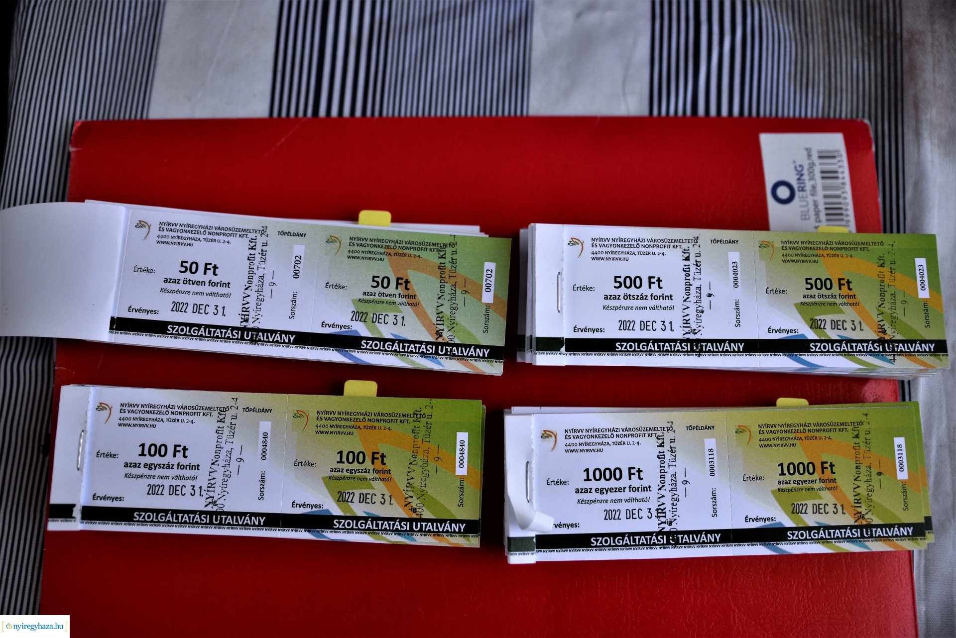 Parlagfűért virág - városszépítő akció