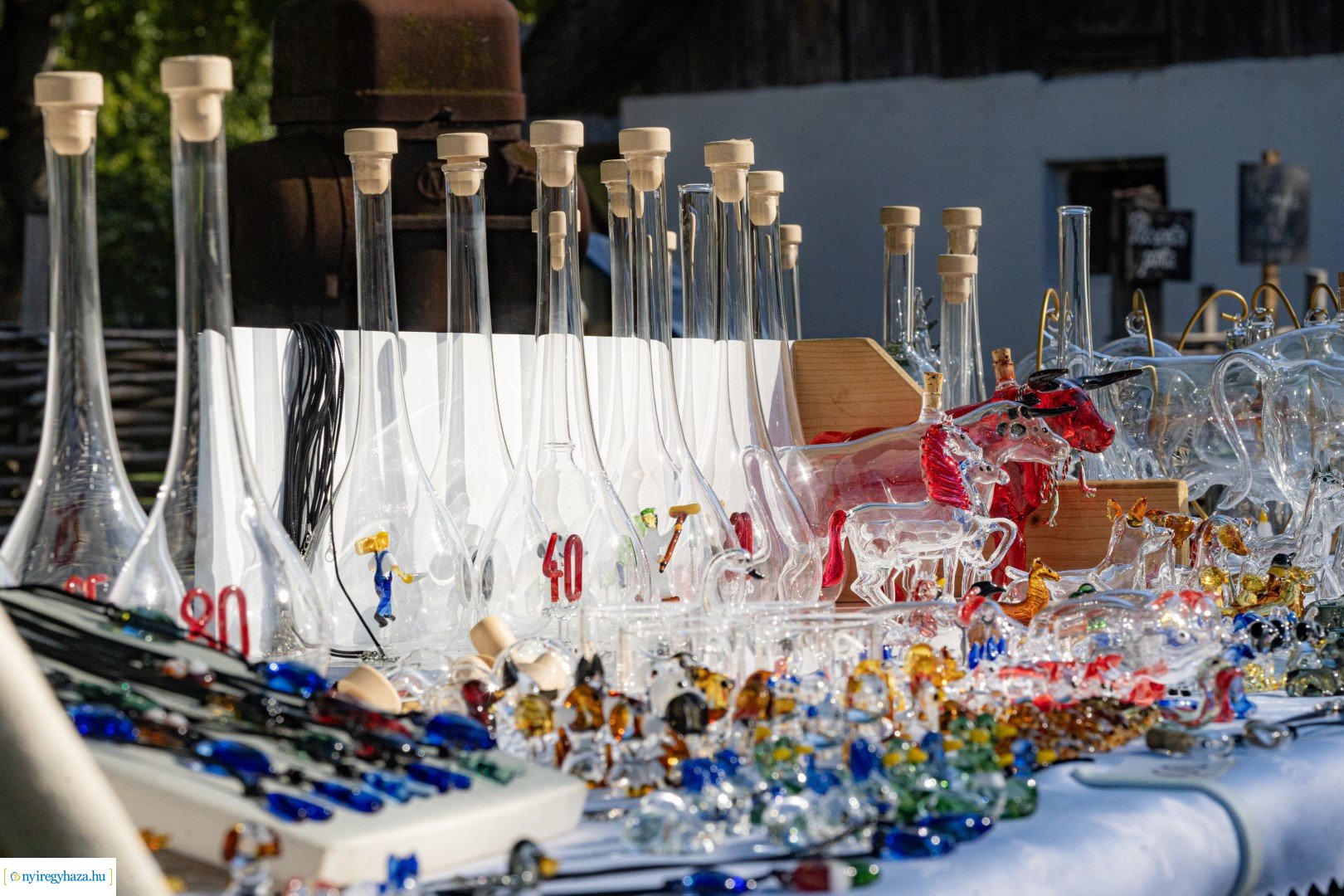 Pásztorok Világa 2024 