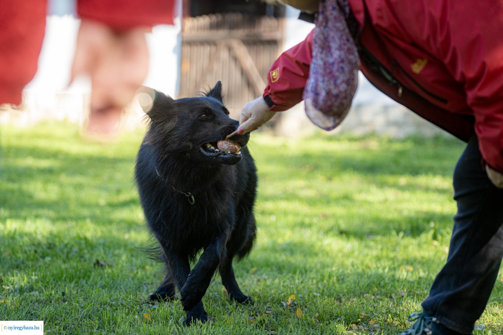 Pásztorok Világa 2024 