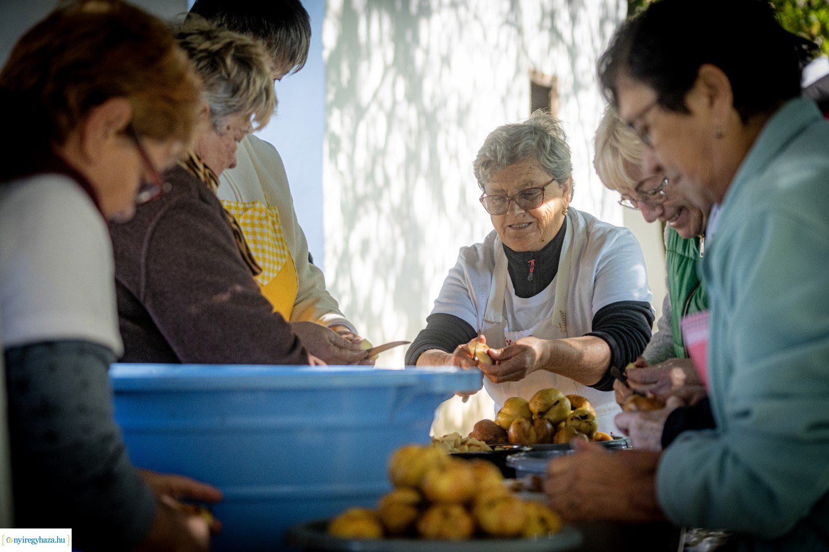 Pásztorok Világa 2024 